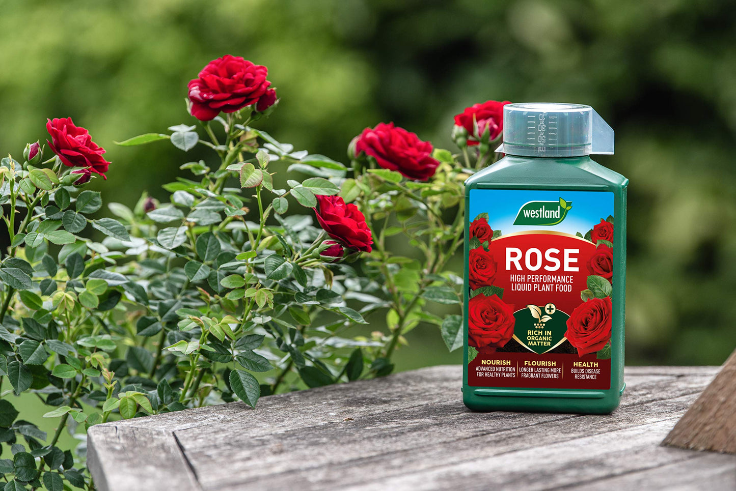Westland 20100440 Rose High Performance Liquid Plant Food 1 Litre