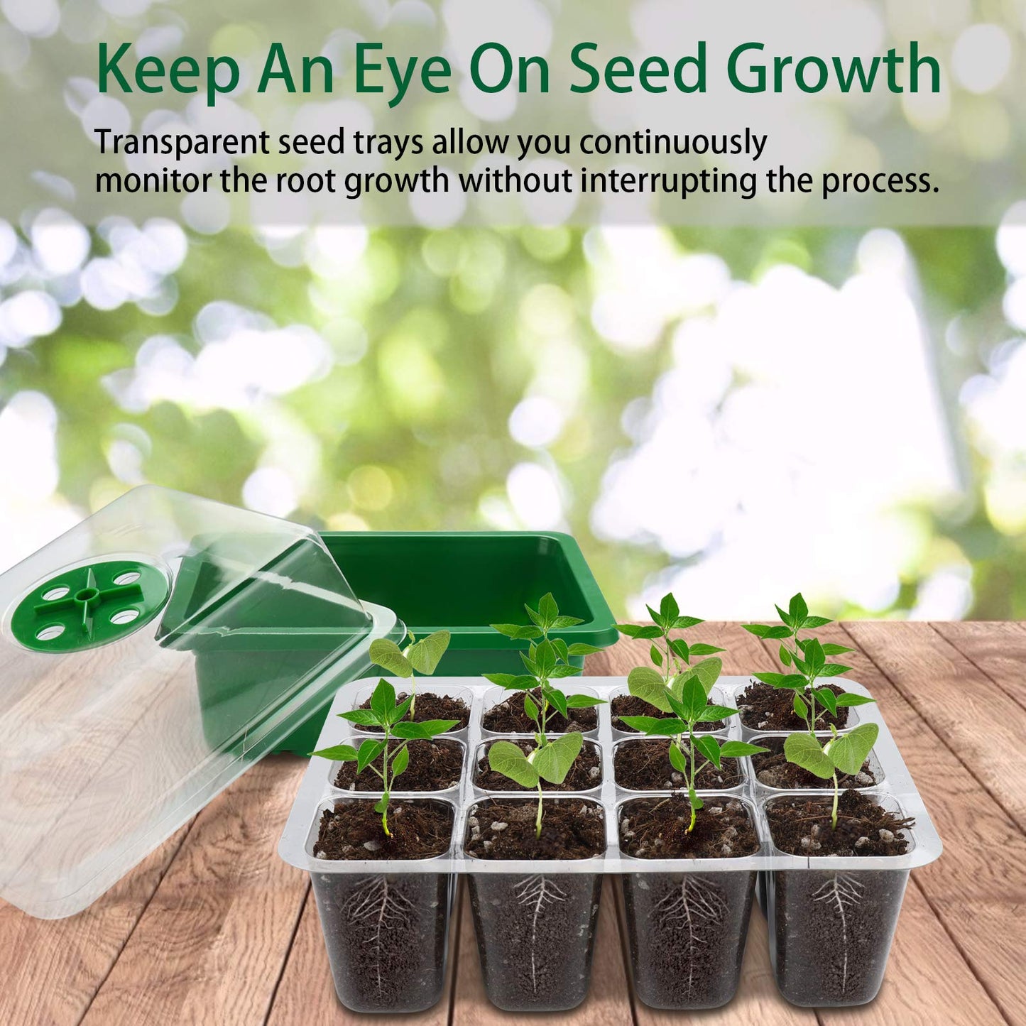 Feizeisun Seed Trays, 6 Pack 72 Cells Propagator Thicken Seed Trays for Seedlings Reusable Seed Trays with Lids Seed Propagators Plant Germination Trays Kit for Greenhouse & Garden, Green