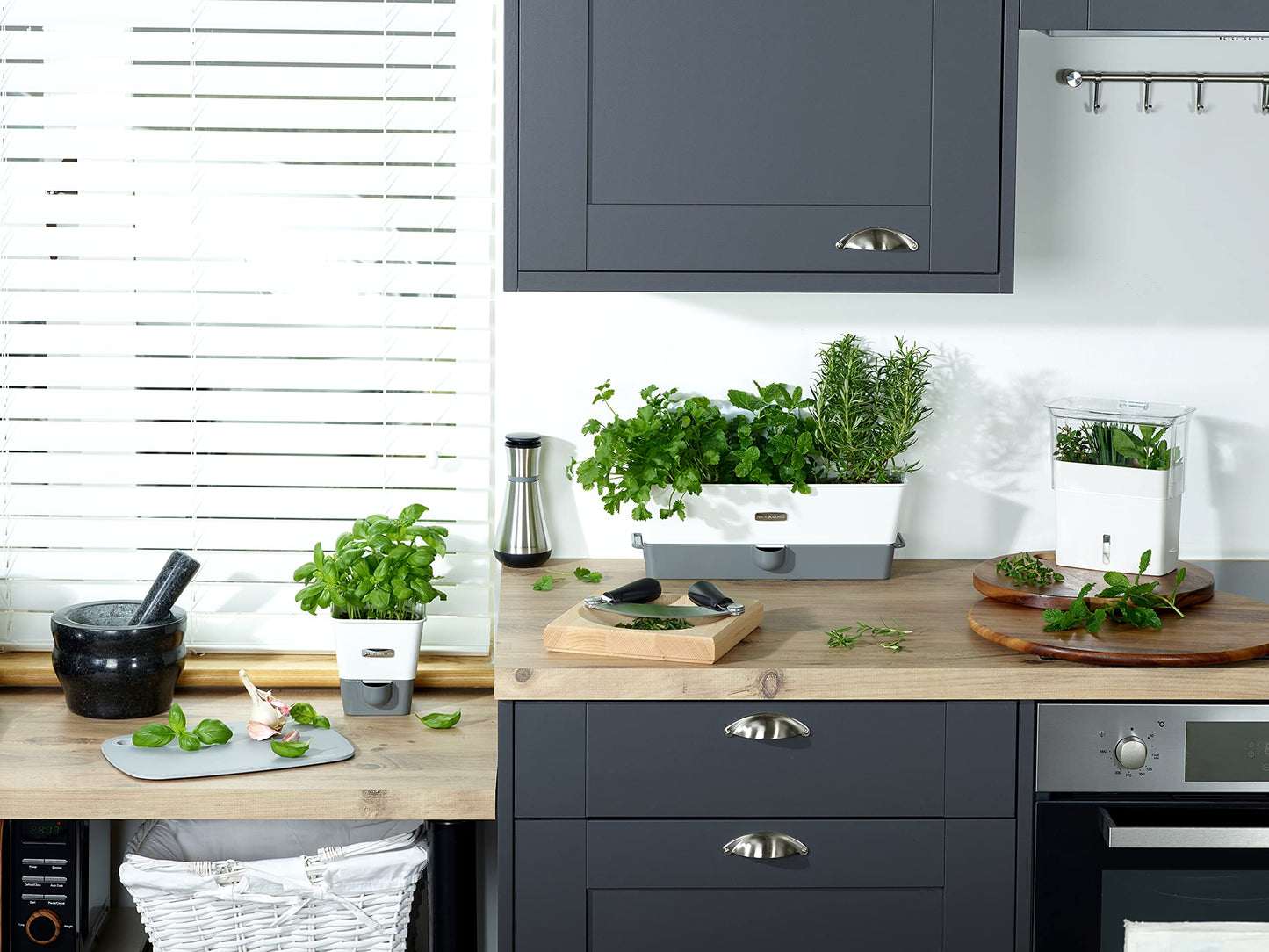 Cole & Mason Burwell Self-Watering Potted Herb Saver, Windowsill Herb Planter Herb Box/Indoor Herb Garden, Triple, Suitable for 3 pots (85 mm), Includes 12 x Pads, White/Grey