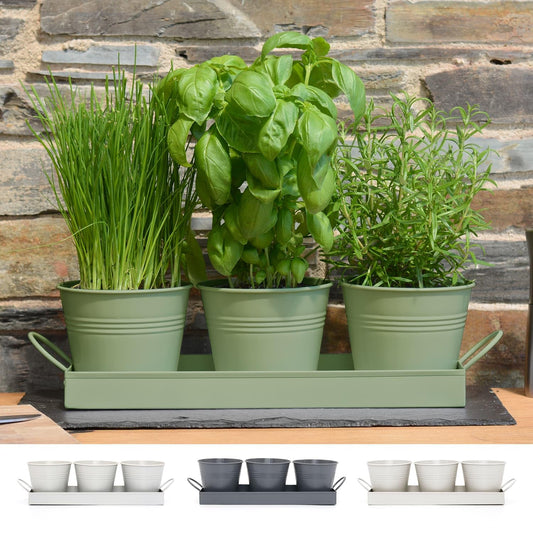 CKB LTD Set of 3 Metal Herb Plant Pots with Drip Tray Traditional Indoor Windowsill Coloured Planter Box for The Kitchen Grow Your Own Herbs for Cooking (Sage Green)