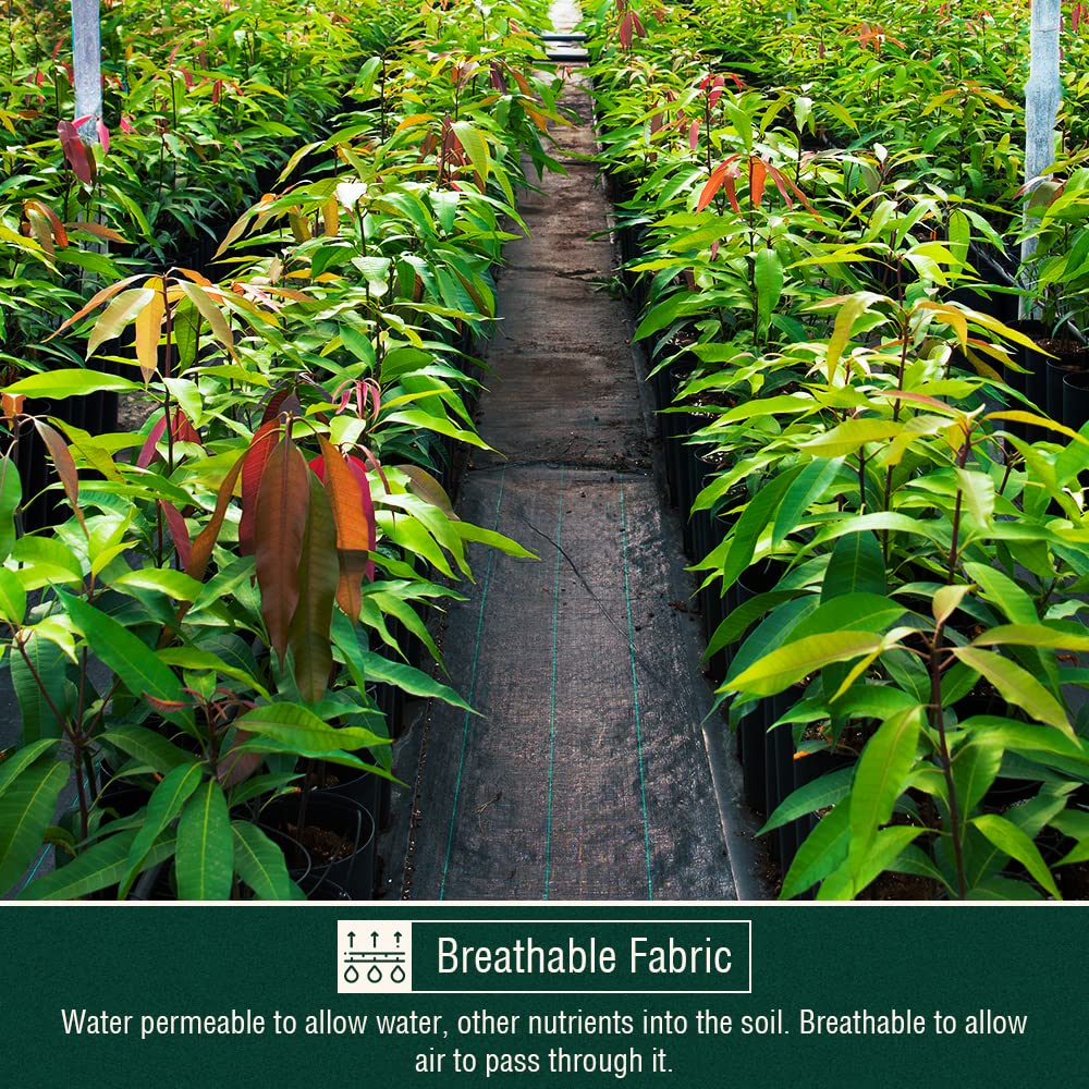 ANSIO Weed Membrane, Weed Control Membrane 2Mx10M, Weed Control Fabric,Ground cover, UV stabilised Weed Barrier Fabric. Ideal for use in Patios, Garden, Flower beds, Landscaping -Weed suppressant