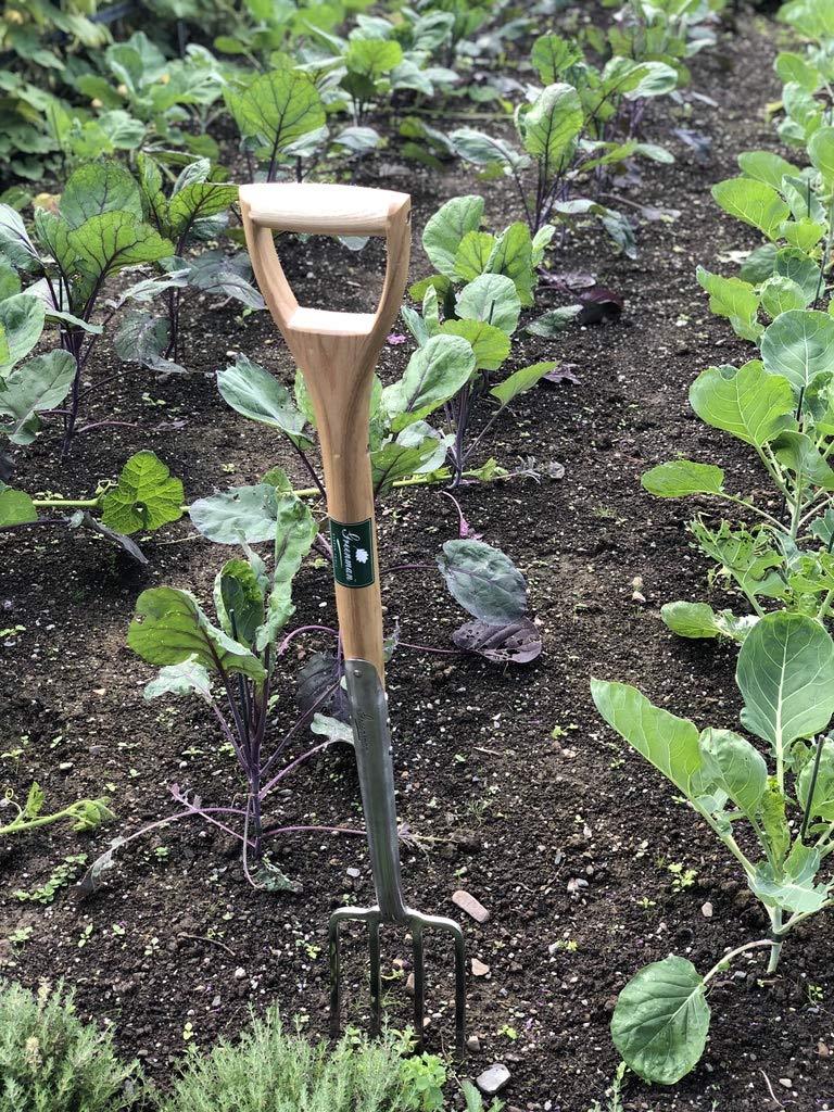 Greenman Border Fork Narrow Stainless Steel Heavy Duty Ash Handled 100cm x 14cm