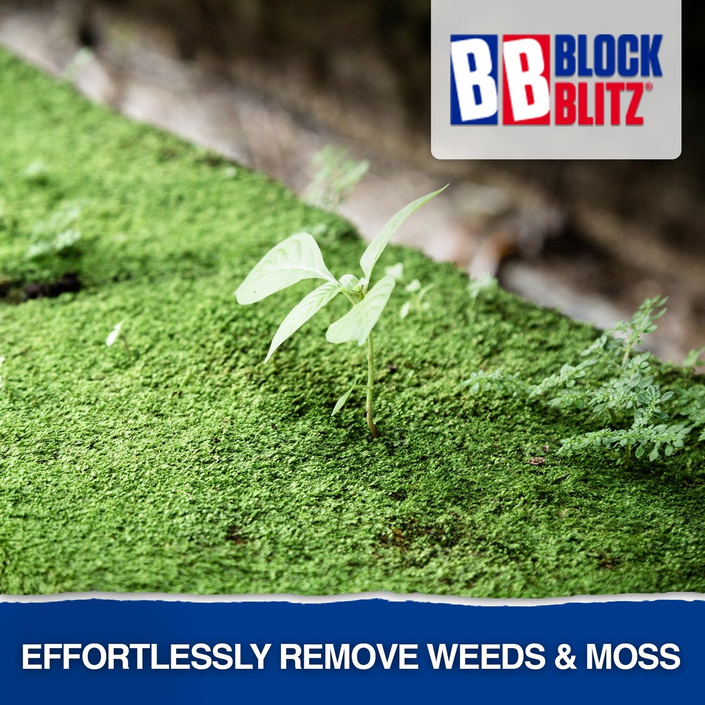 Block Blitz Block Paving Eco Cleaner. Removes and Prevents Algae, Moss, and Black Spot. Deters Weed Growth for up to 6 Months. 6 x Pouches. Treats 30 sq/m.