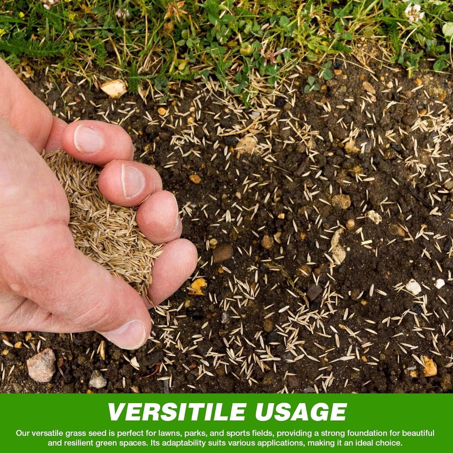 GroundMaster Premium Lawn Grass Seed – 10KG Hard Wearing & Fast Germination Grass Seeds for Family Lawns and Gardens, Coverage up to 600M2 for Overseeding, Tough Lawn Seed Mixture, Pet-Friendly