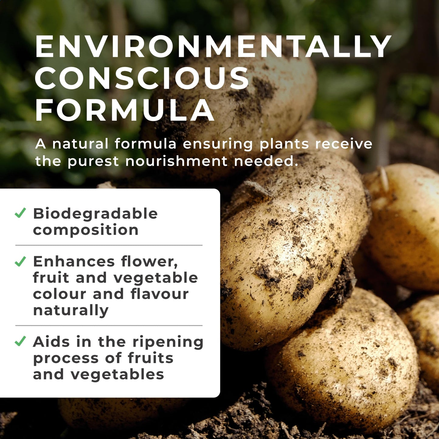 Grow Chem Fish, Blood & Bone Fertiliser (1KG Bucket) Multi-Purpose – Organic Fertiliser for Plants & Lawns – Nutrient-Packed, Easy-Apply Plant Food for Strong Healthy Produce, Flowers & Lawns