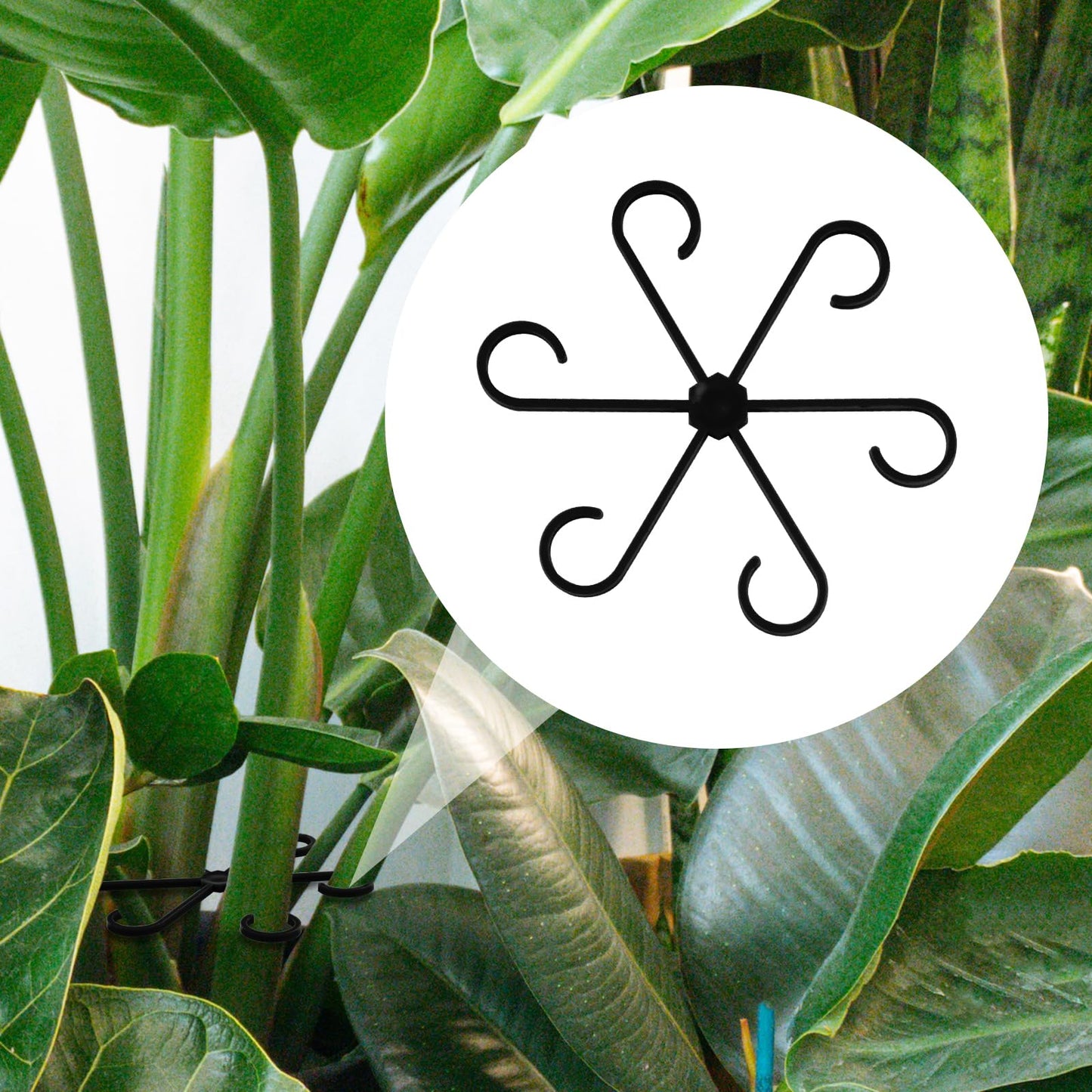 PEUTIER 4pcs Climbing Houseplant Stem Supports, Plastic Plant Climbers Stem Holders Reusable Plant Stem Hook Growth Accessories for Plant (black)