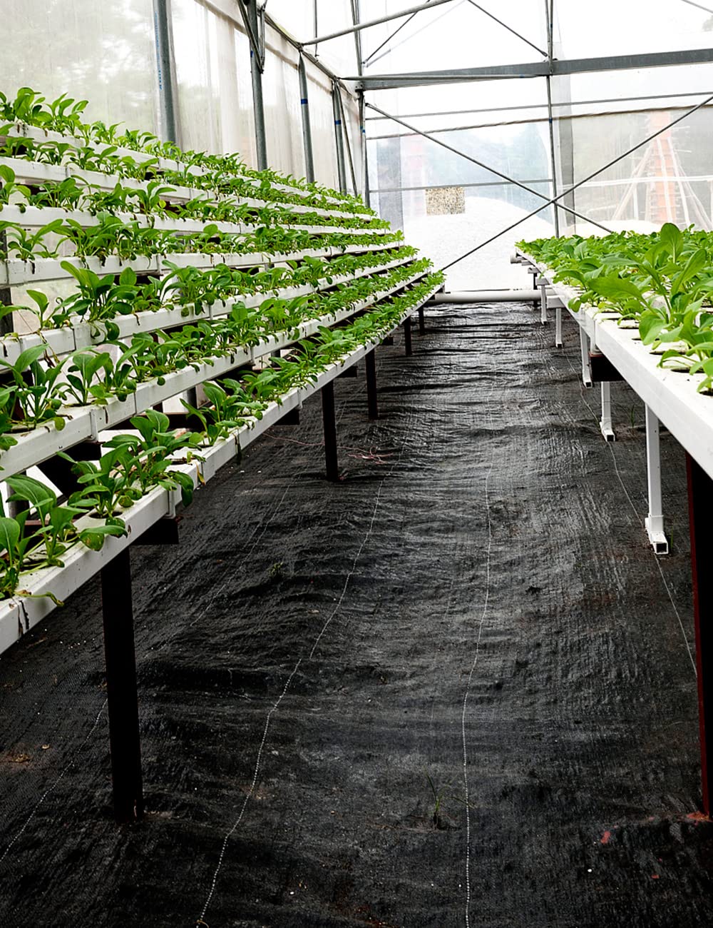 wohohoho 6.6ft x 33ft Weed Control Membrane, 2m x 10m Garden Weed Membrane Heavy Duty Landscape Weed Control Fabric, 3.2oz Weed Suppressant Membrane for Patios, Garden, Flower beds, Pond