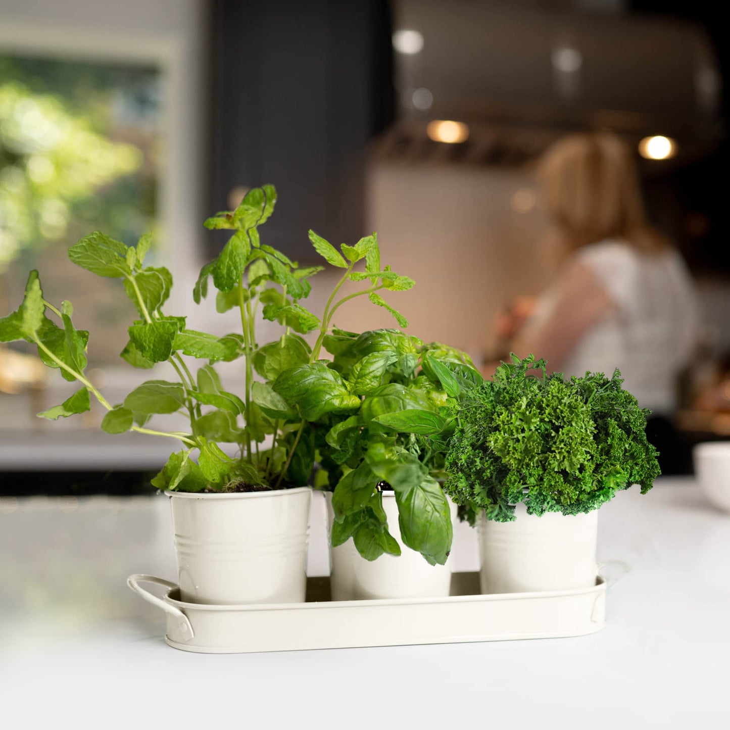 Herb Planter Indoor | Grow Fresh Herbs At Home | Herb Pots for Kitchen & Windowsill | Kitchen Herb Garden | Indoor Herb Planter | Includes Drain Hole | Garden Pots for Basil, Mint, Parsley and More