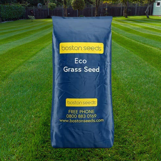 Boston Seeds Fast Growing Grass Seed - Hard Wearing Grass Seeds in Various Weights. Rapid Germination Seeds for Lawns & Landscapes (Eco - 20Kilogram)