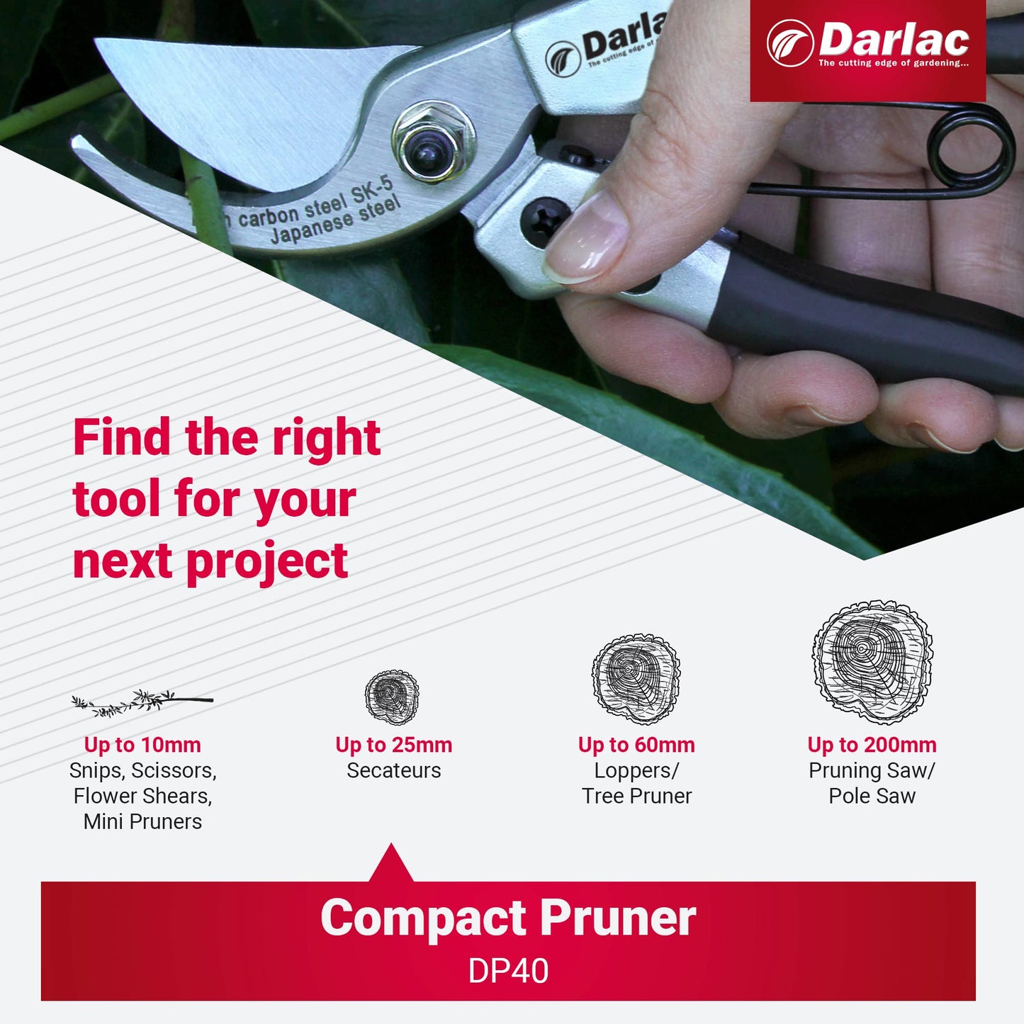 Darlac Compact Plus Pruner - Razor Sharp, Lightweight Bypass Secateurs - Ideal for General & Fine Pruning, Flower Arranging - SK5 High Carbon Japanese Steel - Easy Use Catch - 20mm Cut Capacity