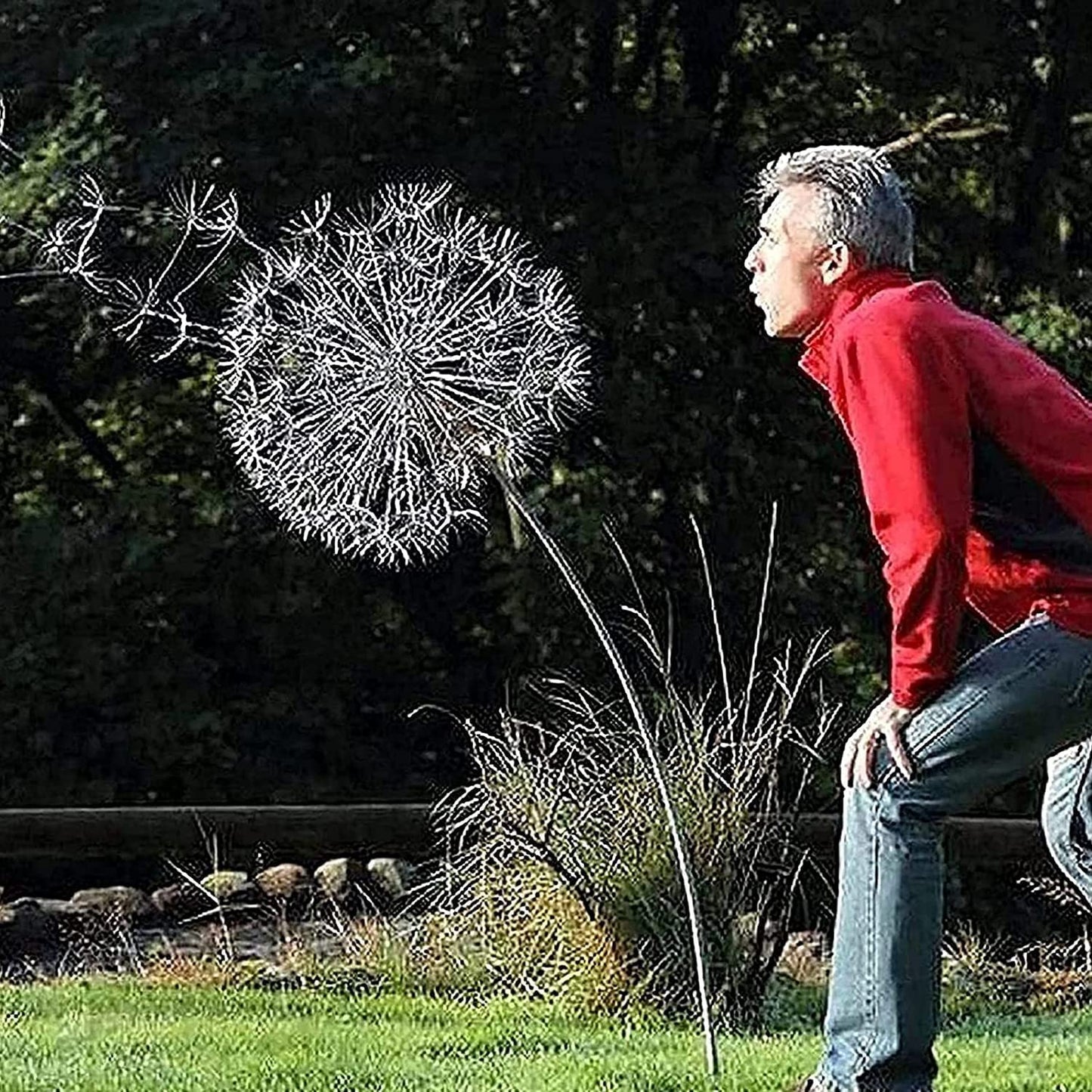 Fairies Dandelions Garden Art Sculpture Dance Yard Decorations Stainless Steel Garden Fairy Ornaments Garden Dandelion for Outdoor Decoration Metal