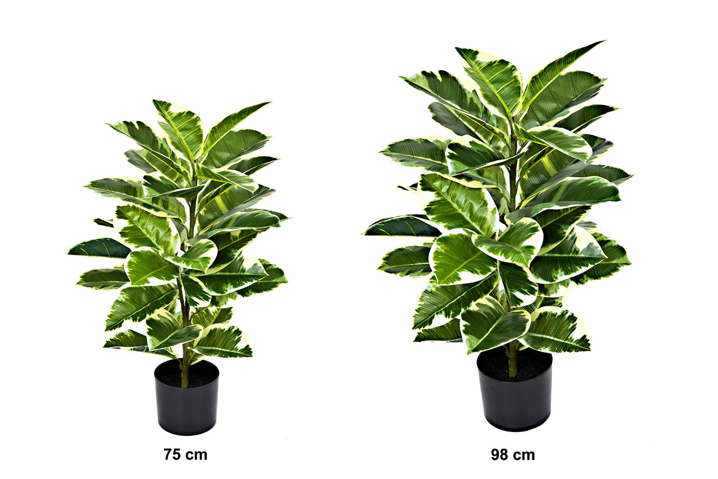 GreenBrokers Artificial 98cm Real Touch Rubber Plant in Pot
