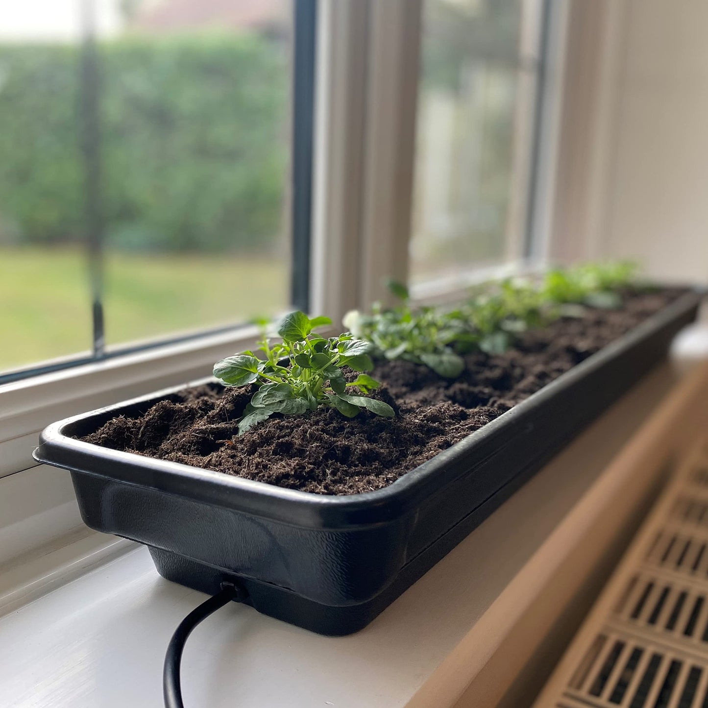 Selections Jumbo Windowsill Heated Plant Propagator (80cm)