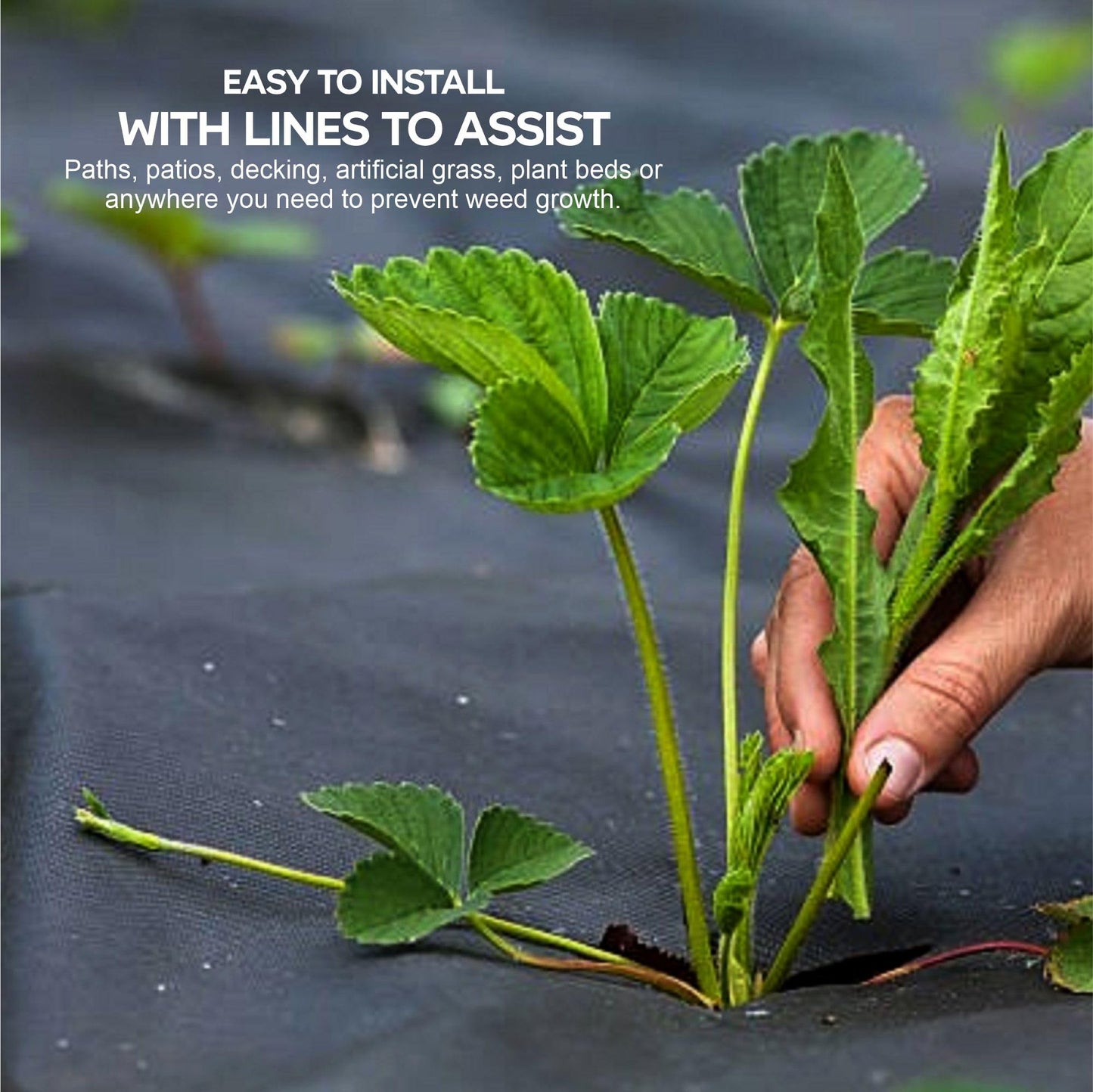 NIMVONA Weed Control Fabric Heavy Duty Weed Suppressant Membrane Weed Barrier Garden Ground Cover Membrane Liner Water Permeable Fabric For Patios Flower Beds Landscaping Pathways 1mx1.5m (1pk)