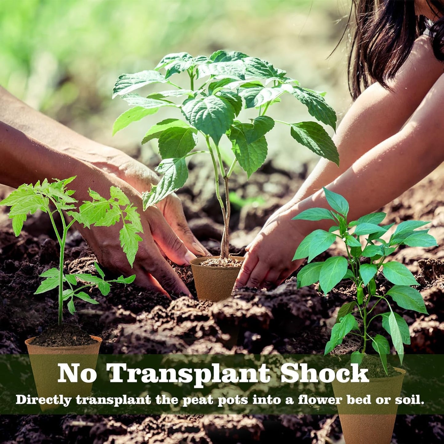 LATERN 100Pcs 8CM Biodegradable Fibre Seed Pots for Seedling and Transplanting with 100Pcs Plastic Plant labels (White 5cm x1cm)