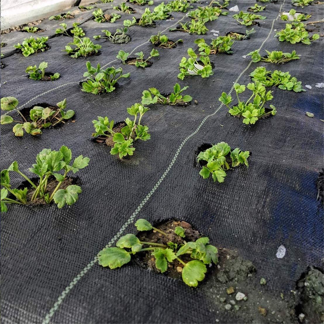 Weed Control Membrane Fabric Landscape Ground Barrier Cover, UV Stabilished Black Heavy Duty Garden Woven Covers 2MX5M