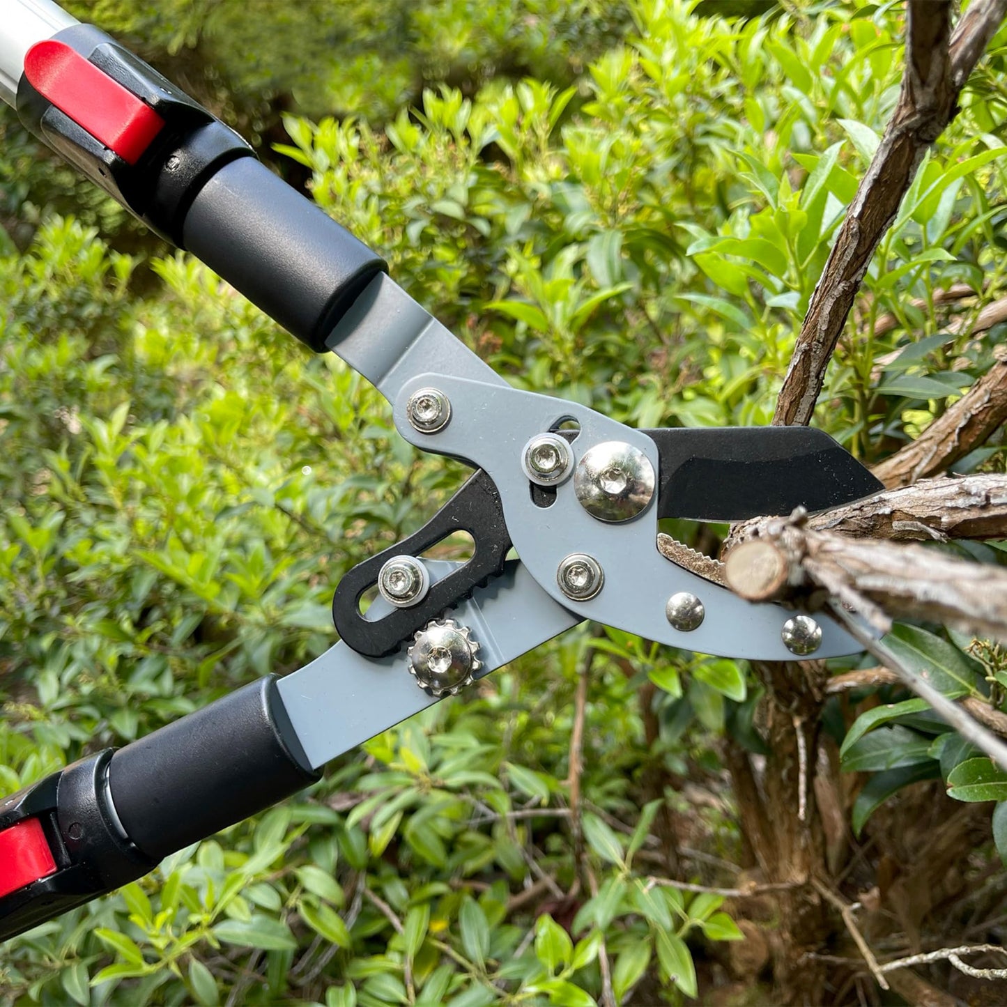 Darlac Telescopic Anvil Garden Loppers – Lightweight Action Loppers with Extendable Handles Ideal for Pruning Hard or Dead Wood - SK5 High Carbon Steel Blade