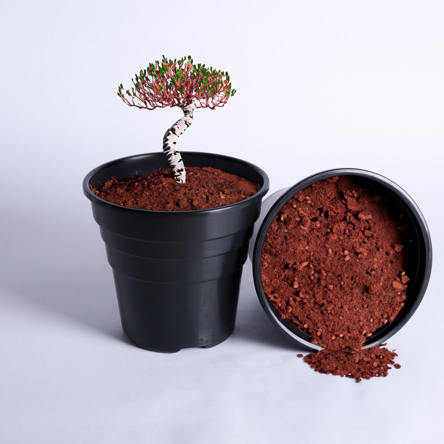 Happy Pots - 15cm Gloss Black - Pack of 10 Premium Plastic Plant Pots - Reusable Flower Pots for Indoor/Outdoor Home Décor Gardening - Round, Heavy Duty, UV Resistant, Recyclable - Made in UK