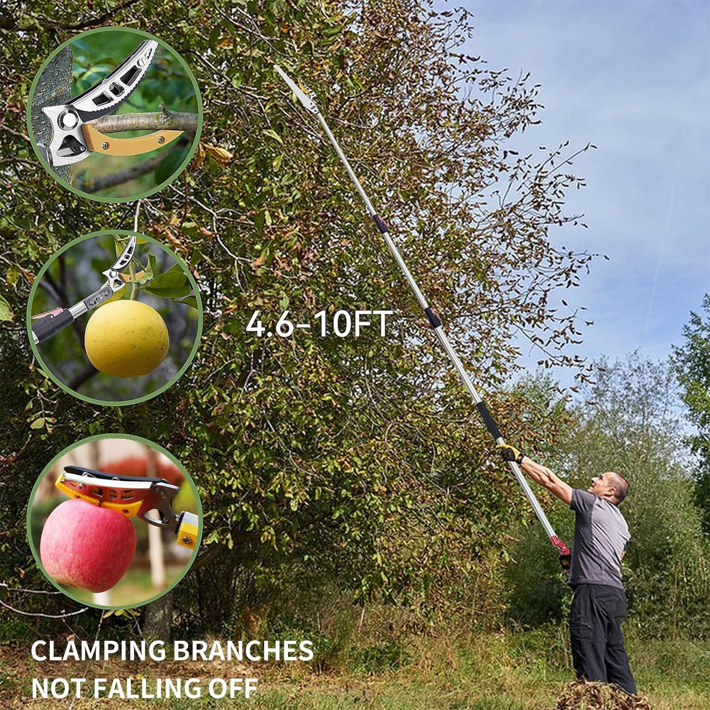 FLORA GUARD 1.4-3m Extendable Long Reach Pruner - Long Reach Pole Saw, Telescopic Fruit Picker, Long Reach Telescopic Tree Pruner - Lightweight Tree Trimmers