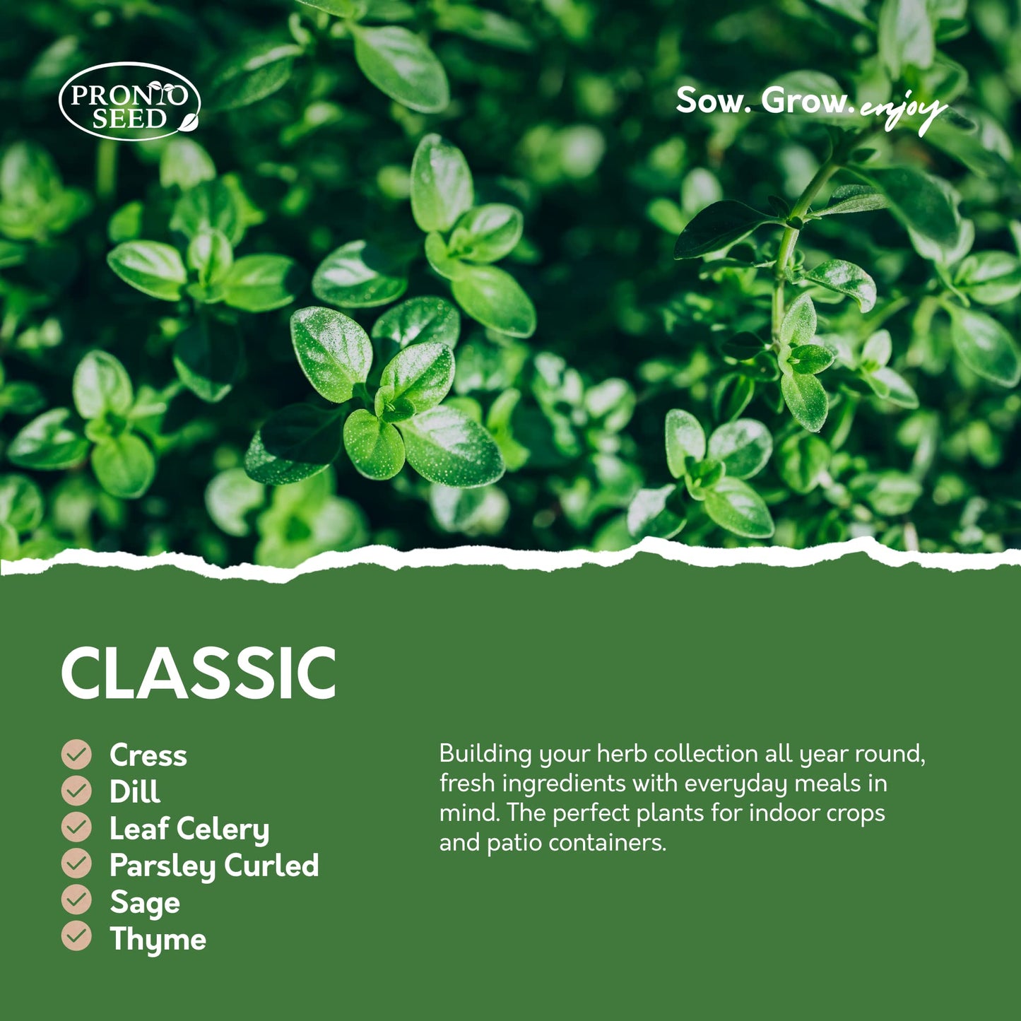 Pronto Seed Herb Bumper Pack - Grow Your Own Kit with 24 Herb Varieties - Aromatic, Mediterranean, Garden & Classic Herbs - Gardening Gift for Women and Men (Herb Pack)