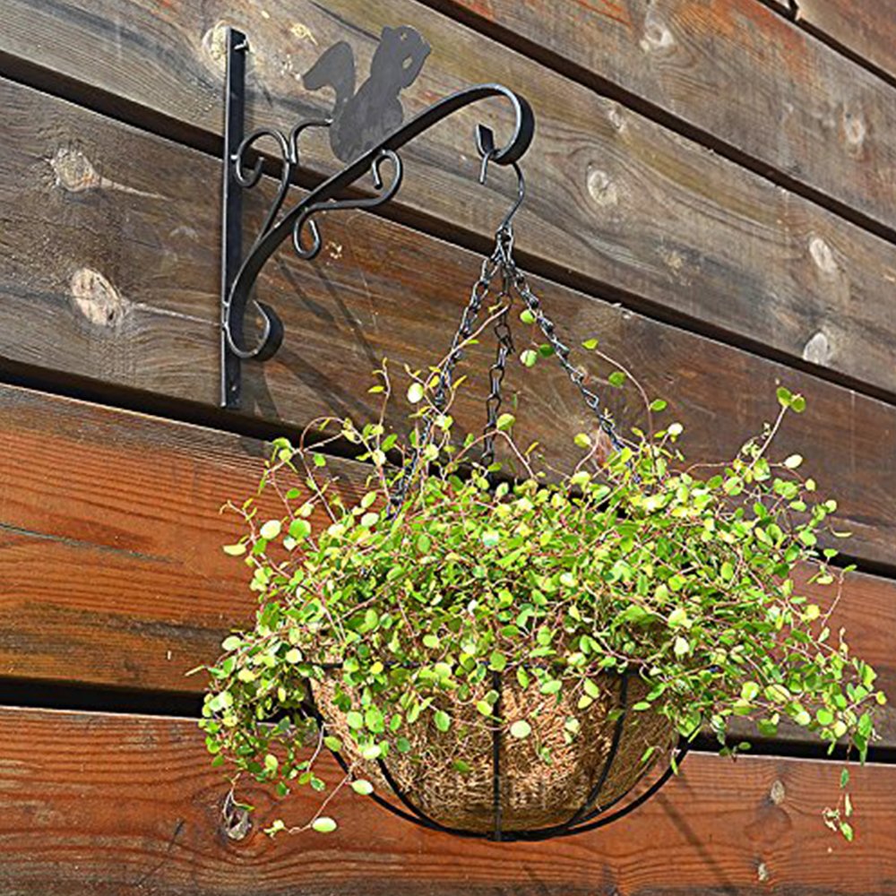 GQMMHFX 2 PCS Adjustable Hanging Flower Basket with Metal Chain Coconut Coir Liner Round Watering Flower Pots Plant Holder Garden Porch Decor for Outdoor Indoor(12 inch)