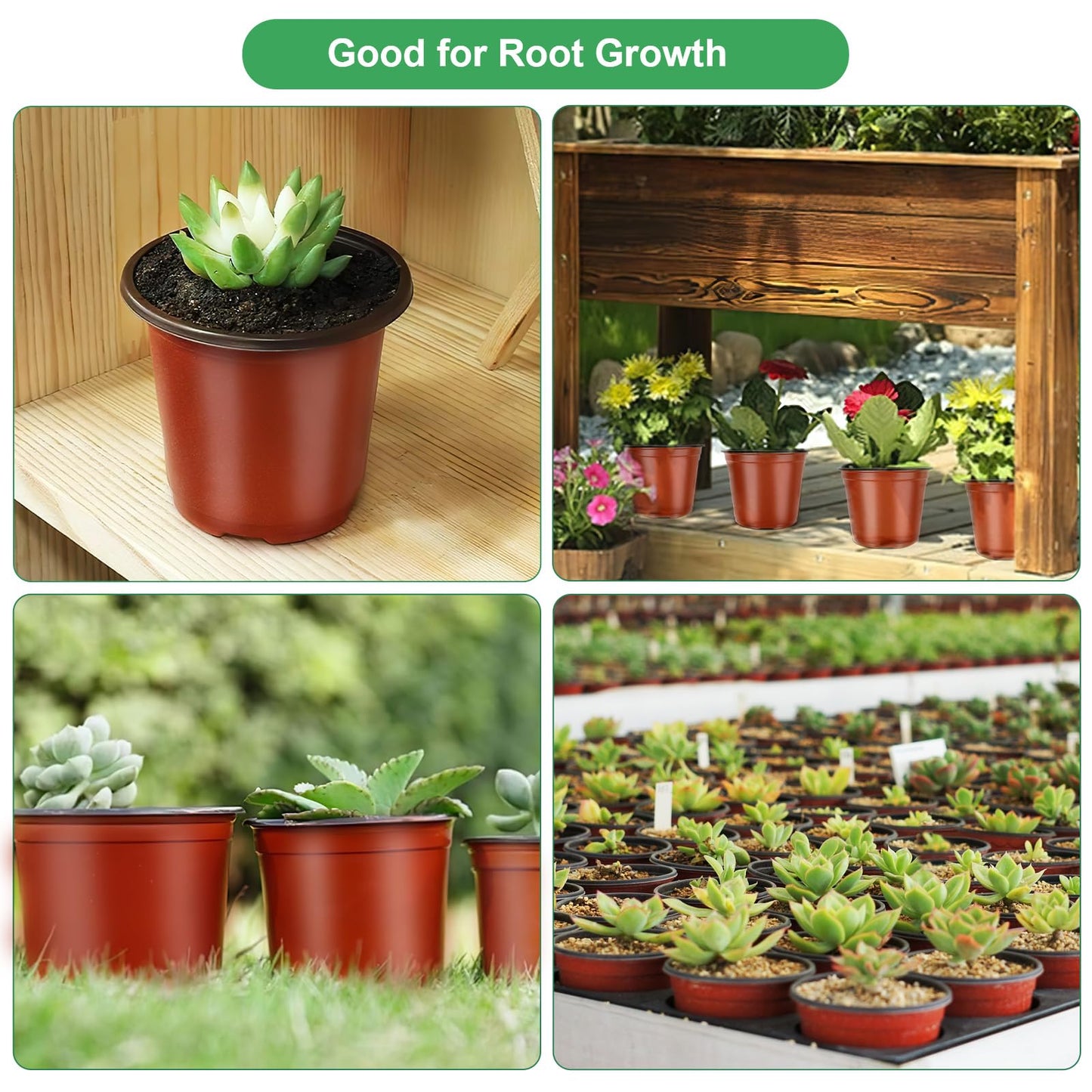 PEYOU 100Pcs Thickened Plant Pots 10cm Reusable Flower Pots Small Plant Pots Plastic Plant Pots Seedling Pots for Seeds, Seedlings, Flowers, Vegetable, Succulent, Herbs, Cuttings, Transplanting