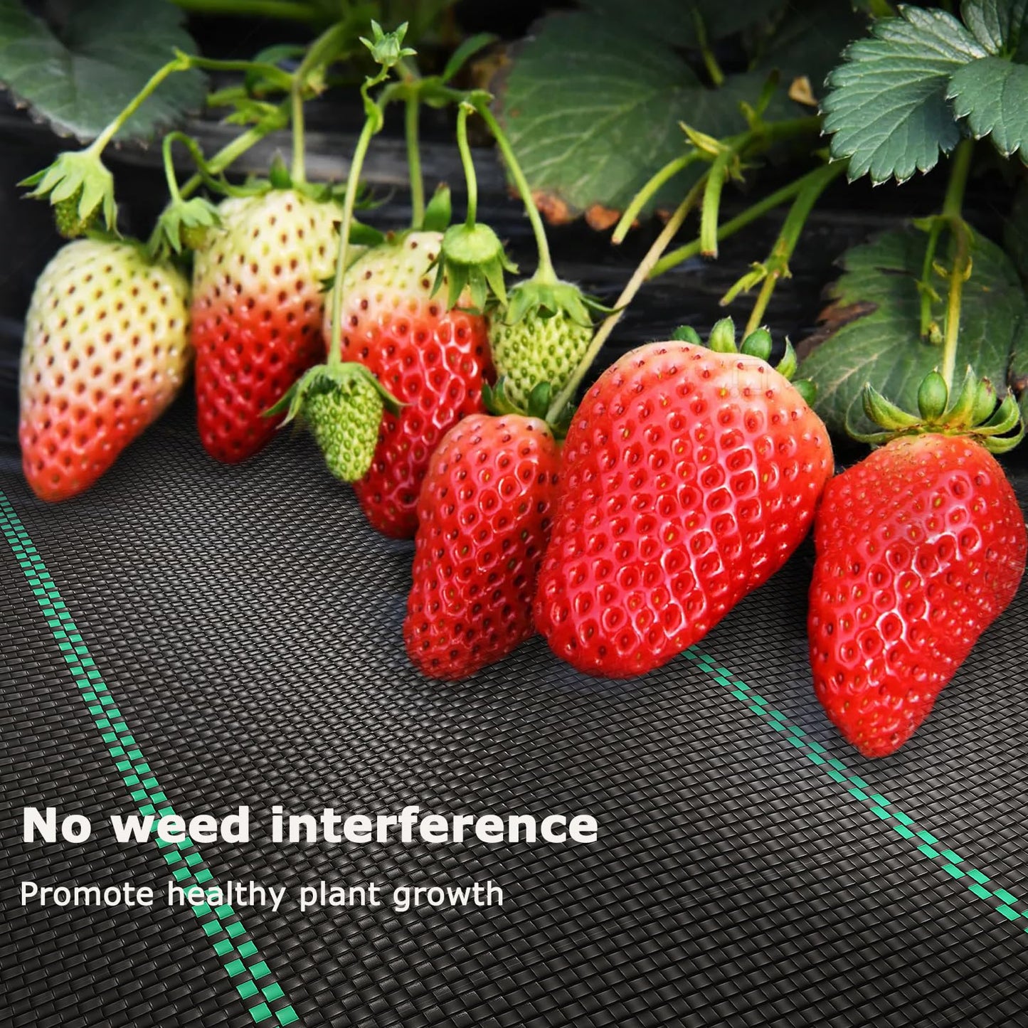 OUNUO 4 m x 10 m Heavy Duty Weed Control Membrane Garden Weed Barrier UV Protection Weed Fabric for Patios Garden Flower Beds Landscaping Black Woven Roll Ground Cover