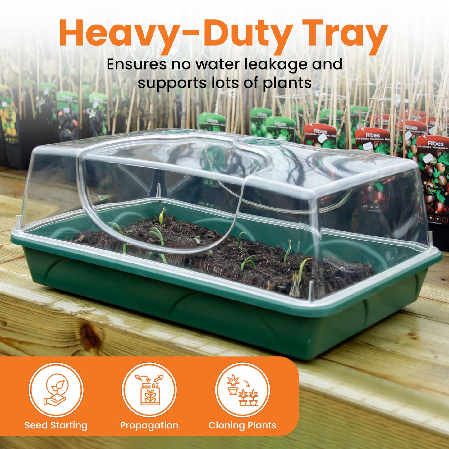 EarlyGrow MPL50030/P Large Propagator with Shatterproof Lid 58 x 38 x 26 Centimetres - Green