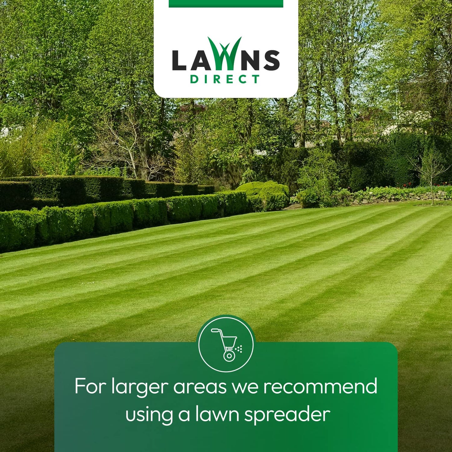 Lawns Direct™ ProGrass™ 2kg Low Maintenance Professional Fine Turf Grass Seed for That Perfect Manicured Lawn, Golf Fairways, Sports Grounds & Council-Run Areas Covering 57-100m²