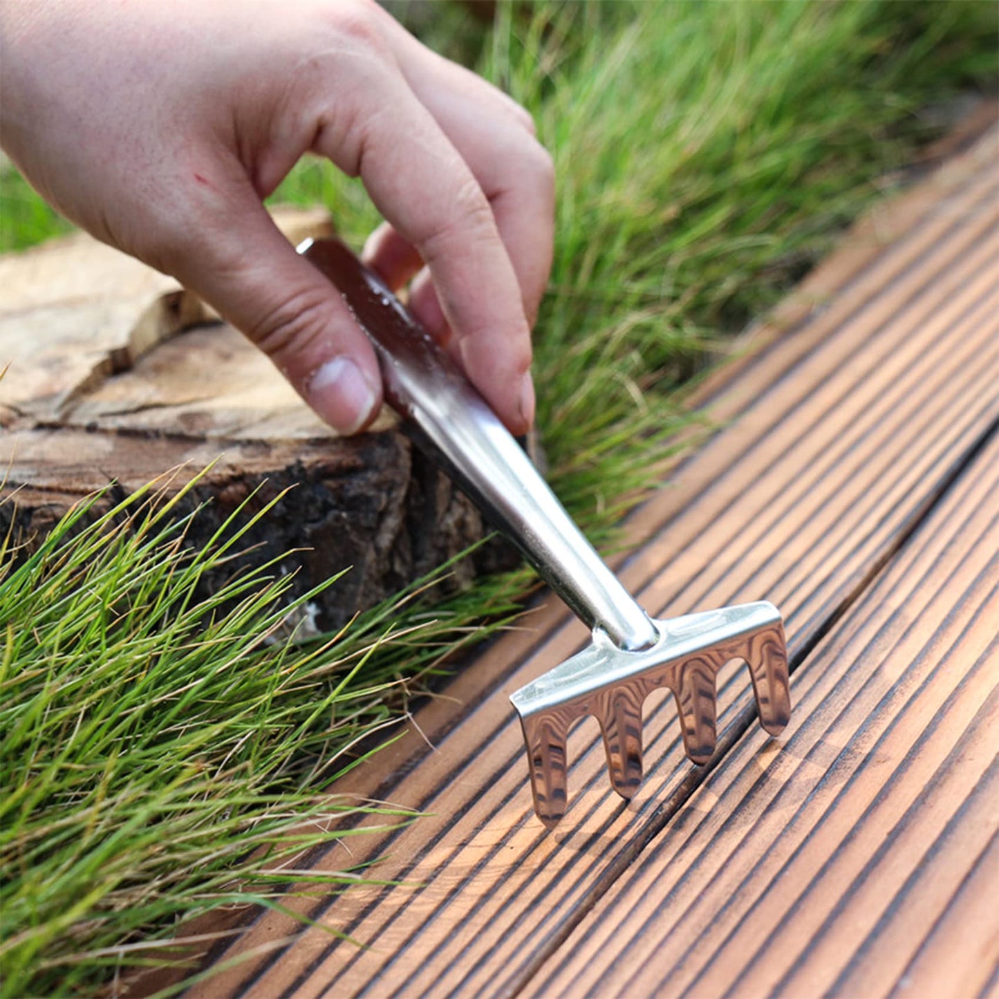 Quanyuchang Mini Succulent Plant Tool Set Stainless Steel, 3 Pieces Small Shovel Rake Spade Gardening Kit Lightweight Hand Trowel Transplant Trowel Hand Rake for Cactus Herbs Indoor Miniature Plants