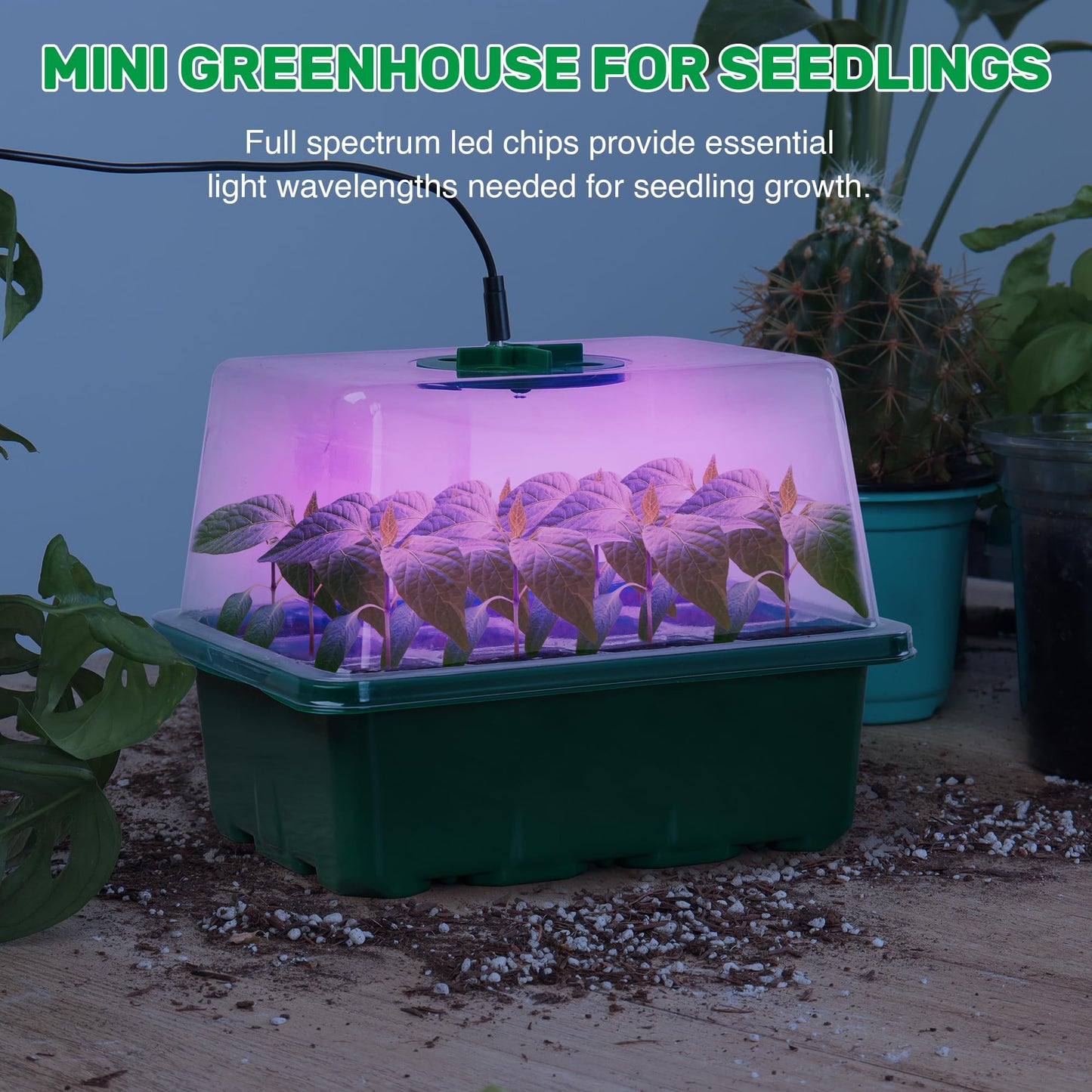 MIXC Seed Trays with Grow Light, 5 Pack Seed Trays with Lids, Propagators for Plants with Adjustable Lids and Clear Cell Tray, Propagator with 8 Full Spectrum Led Lamp Beads, For Indoor Plants, Green