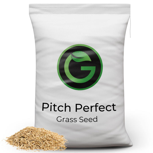 Pitch Perfect - Rye Grass Seed Sports Mix - Ultra Hard Wearing & Fast Growing - Garden Lawncare Guy 5kg