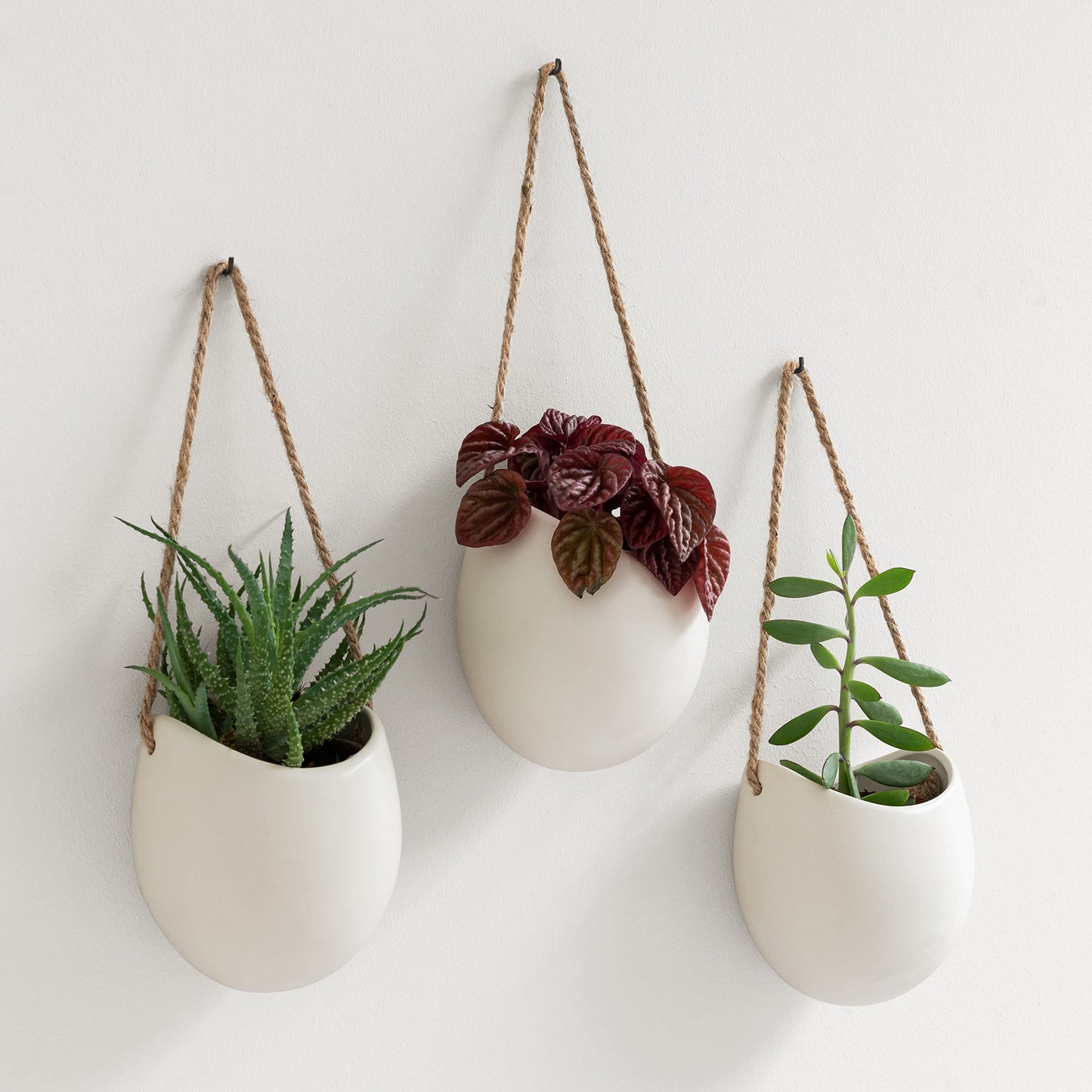 Kazai. Wall Planters -Ellie- | Hanging Ceramic Plant Pots, 3 Pieces, for Succulents and more | Wall Decoration for Indoors, Balcony and Garden | Cream (matte)