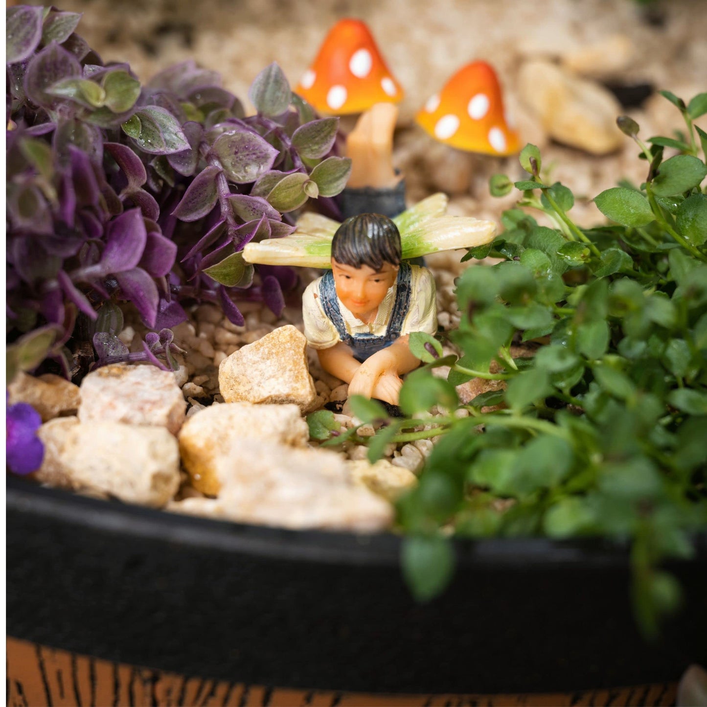 PRETMANNS Fairy Figures with Accessories for an Outdoor Miniature Garden – A Colourful Resin 7-Piece Ornament Set – An for any Season