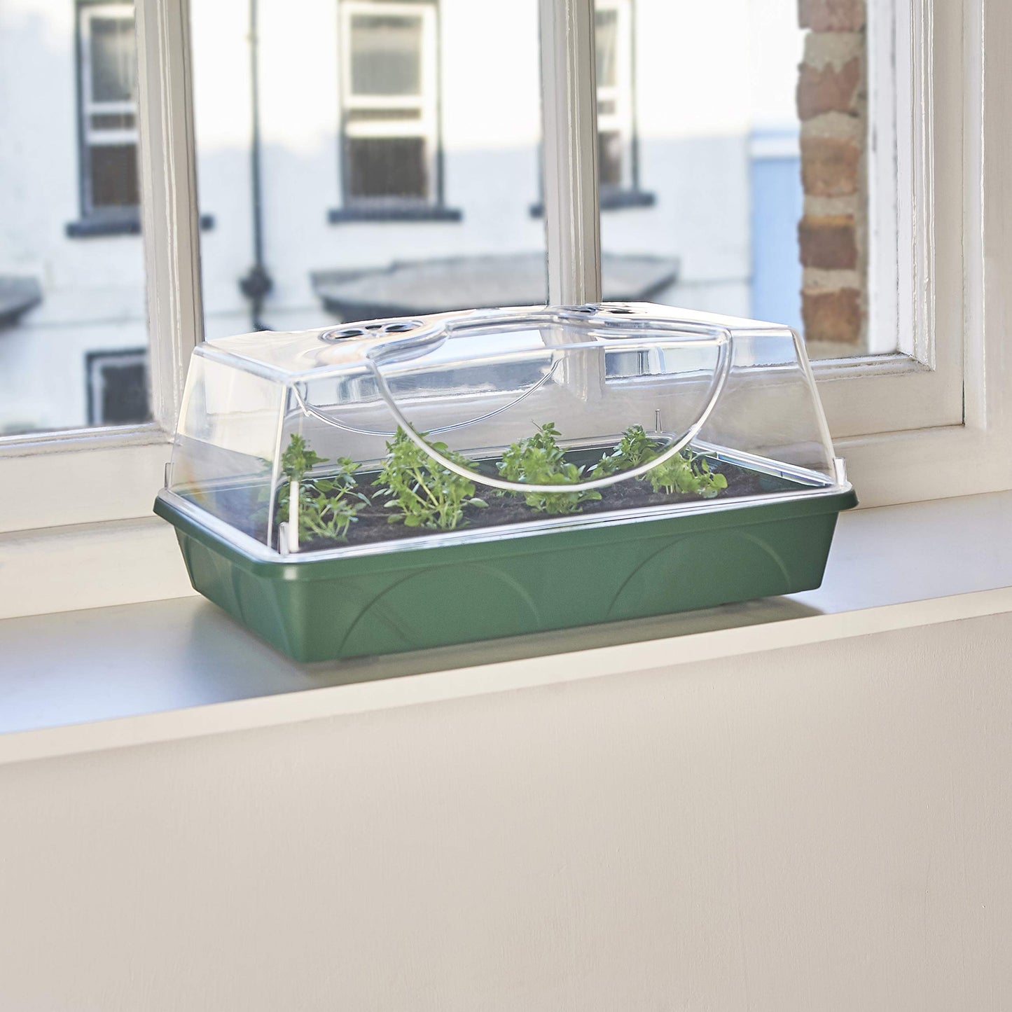 EarlyGrow MPL50031/P Medium Propagator with Shatter Resistant Lid for Seed Germination and Plant Growth - 38x24x18 Centimetres - Green