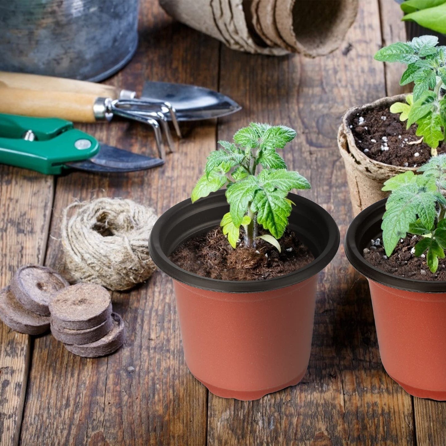 KINGLAKE 100Pcs Plastic Plant Pots 10cm Seed Seedling Pots Flower Nursery Pots for Vegetables,Flowers,Herbs,Cuttings, Succulent