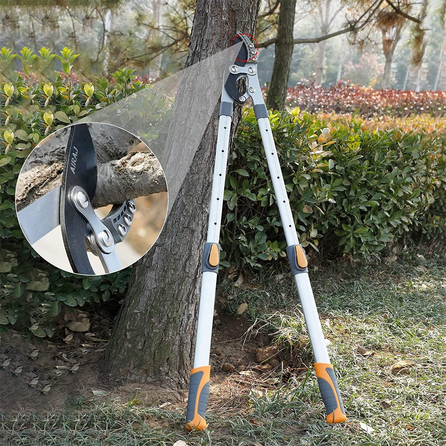 AIRAJ Telescopic Loppers 70-103CM, Loppers Heavy Duty, with Replacement Blades,SK-5 Steel Blade and Teflon-Coated,Six-Way Adjustable Handle,Professional Tree Loppers