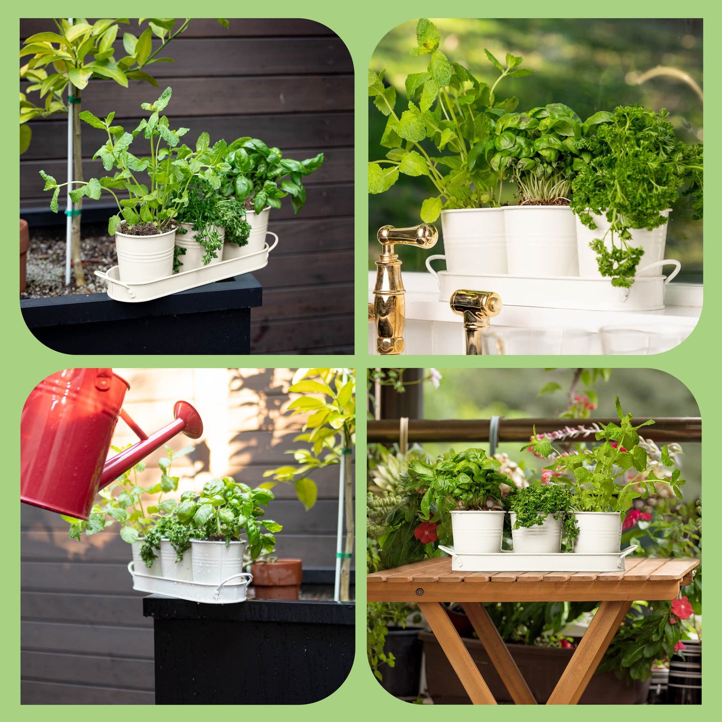 Herb Planter Indoor | Grow Fresh Herbs At Home | Herb Pots for Kitchen & Windowsill | Kitchen Herb Garden | Indoor Herb Planter | Includes Drain Hole | Garden Pots for Basil, Mint, Parsley and More