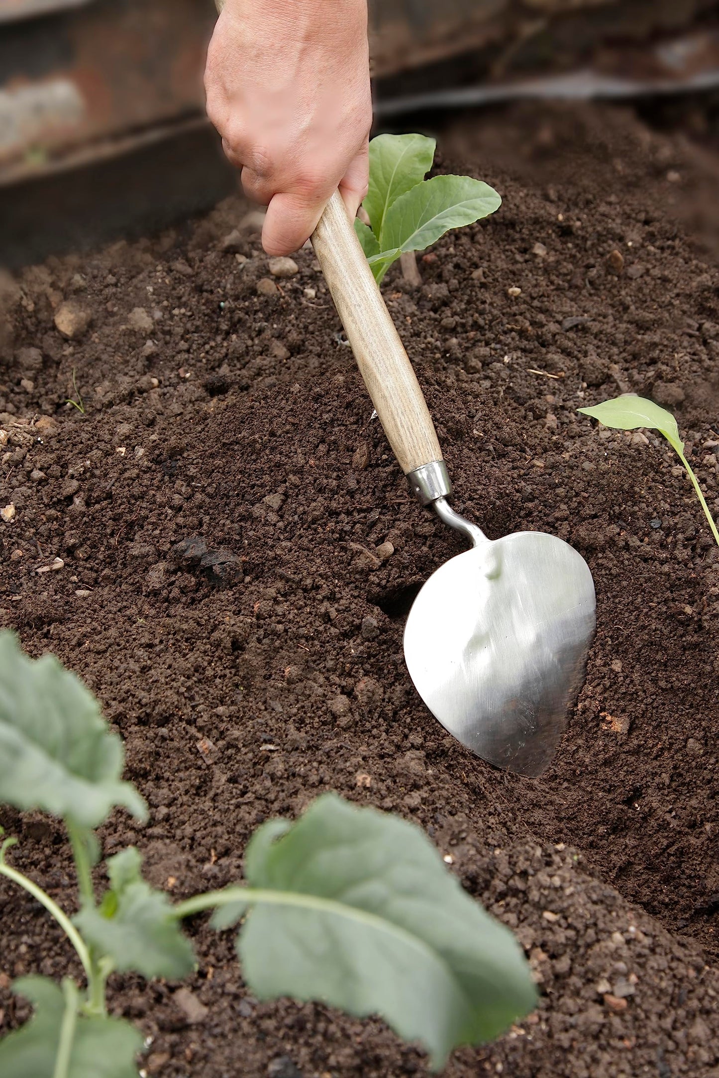 Spear & Jackson 5180KEW Kew Gardens Collection Dutch Style Trowel, Brown