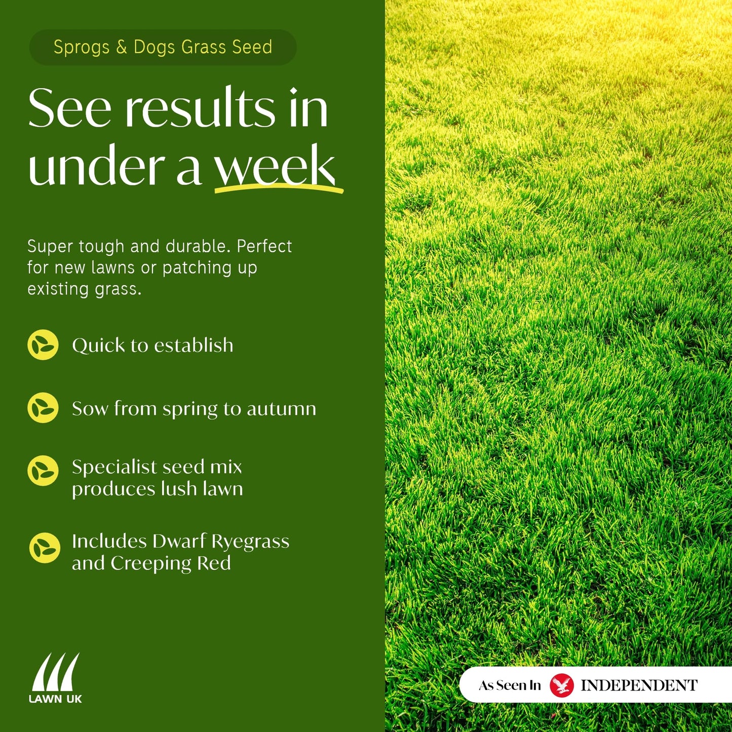 Sprogs & Dogs Ultra Hardwearing Grass Seed by Lawn UK - 500g Up to 15sqm Coverage - Ultimate Tough Grass Seed for Family lawns - Fast Growing & Super Durable - Perfect for Children & Pets