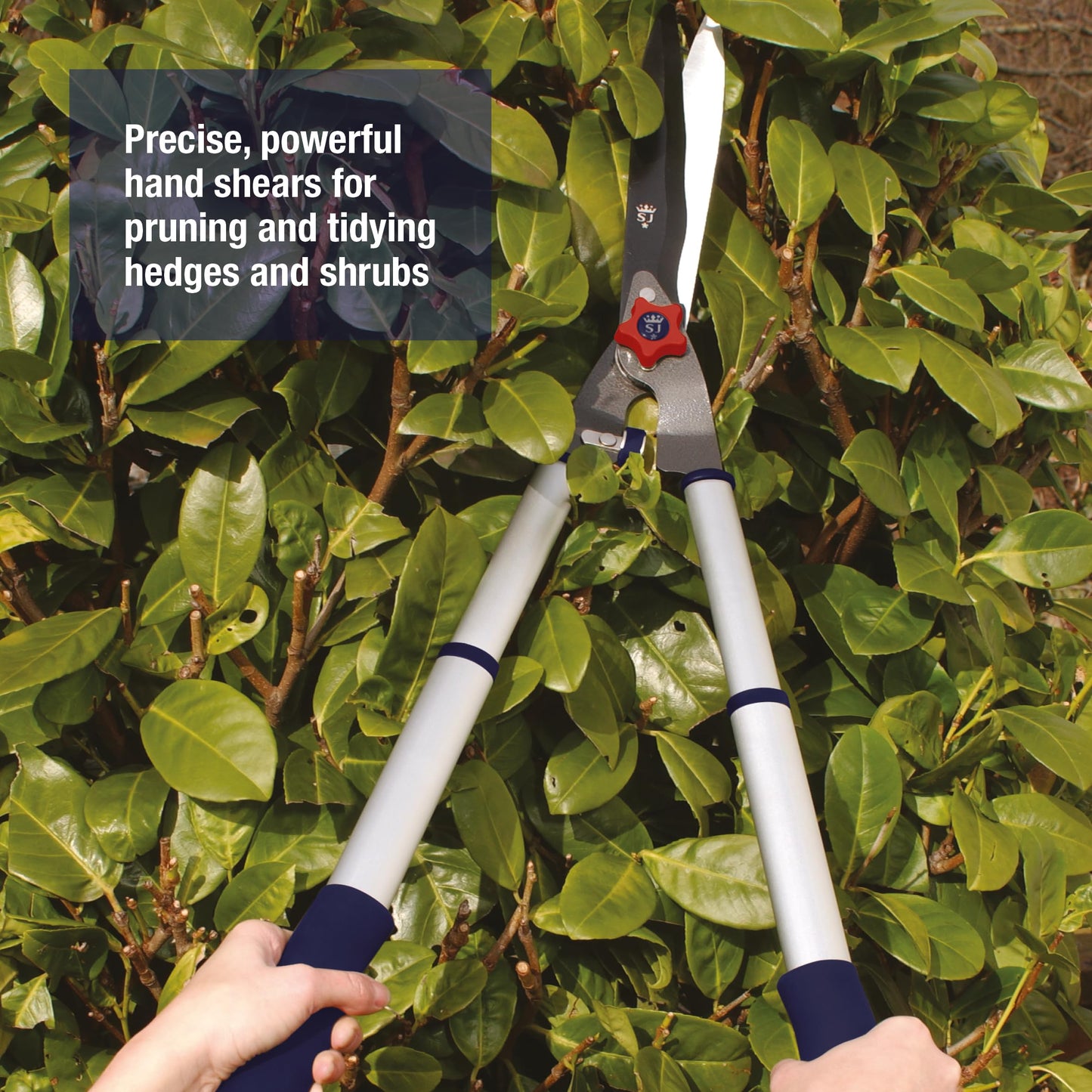 Spear & Jackson 8120RS Razorsharp Telescopic Hedge Shears, Blue