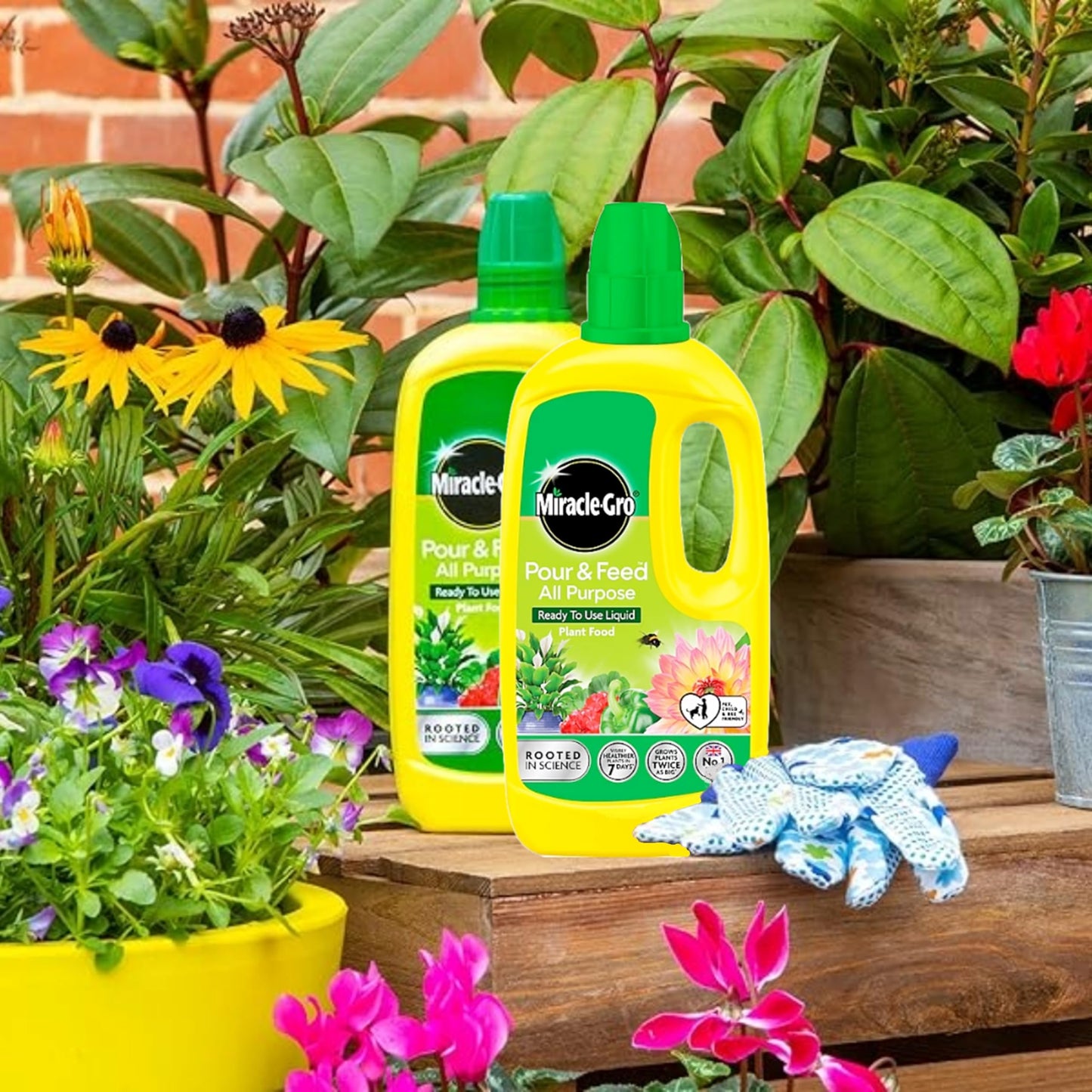 ZUKBEN Miracle Gro Plant Food Fertiliser - Pack of 2 x 1L Pour & Feed All Purpose Plant Feed Ready to Use Liquids with Card. Child & Pet Friendly Garden Fertilizer for Outdoor & Indoor House Plants