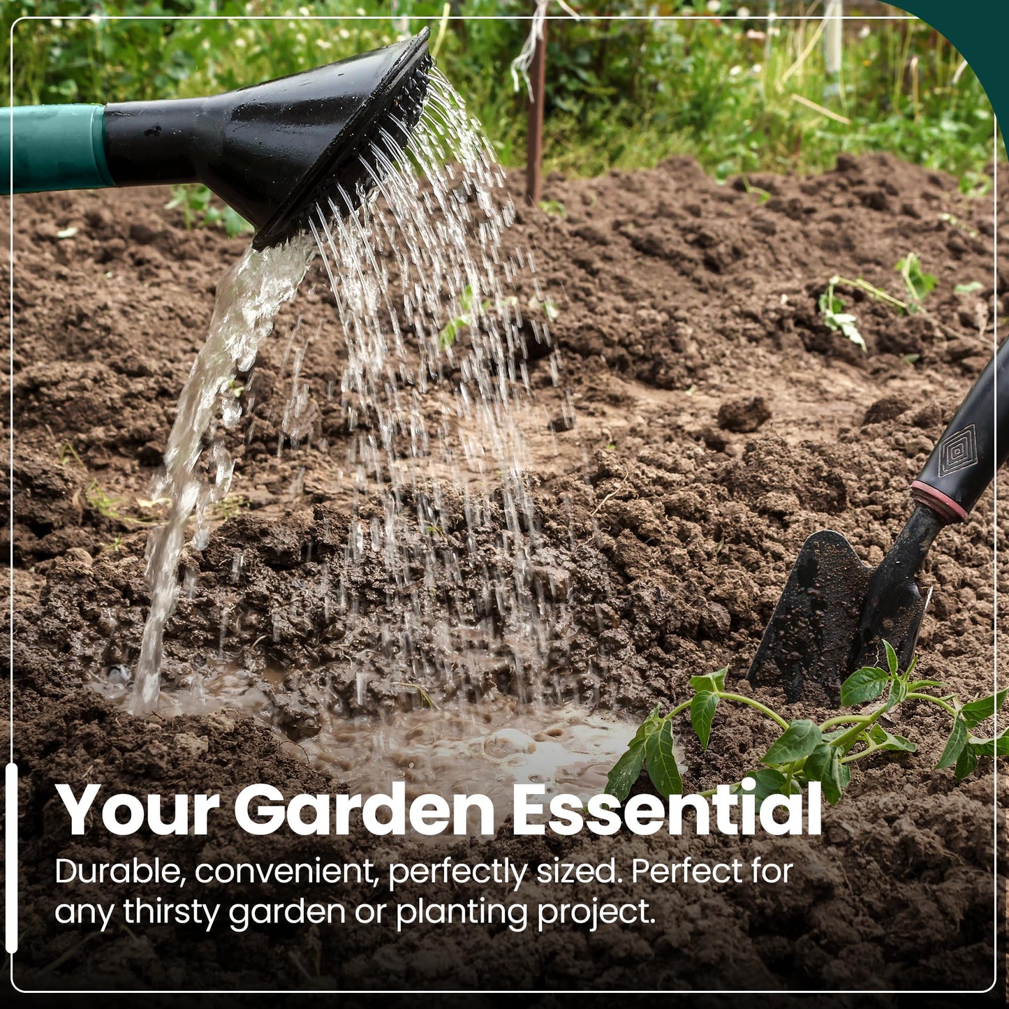 Hardys 10L Green Rose Watering Can - Outdoor & Indoor Watering Can with Detachable Sprinkler Rose Head, Long Spout Water Can for Houseplant & Garden Plants