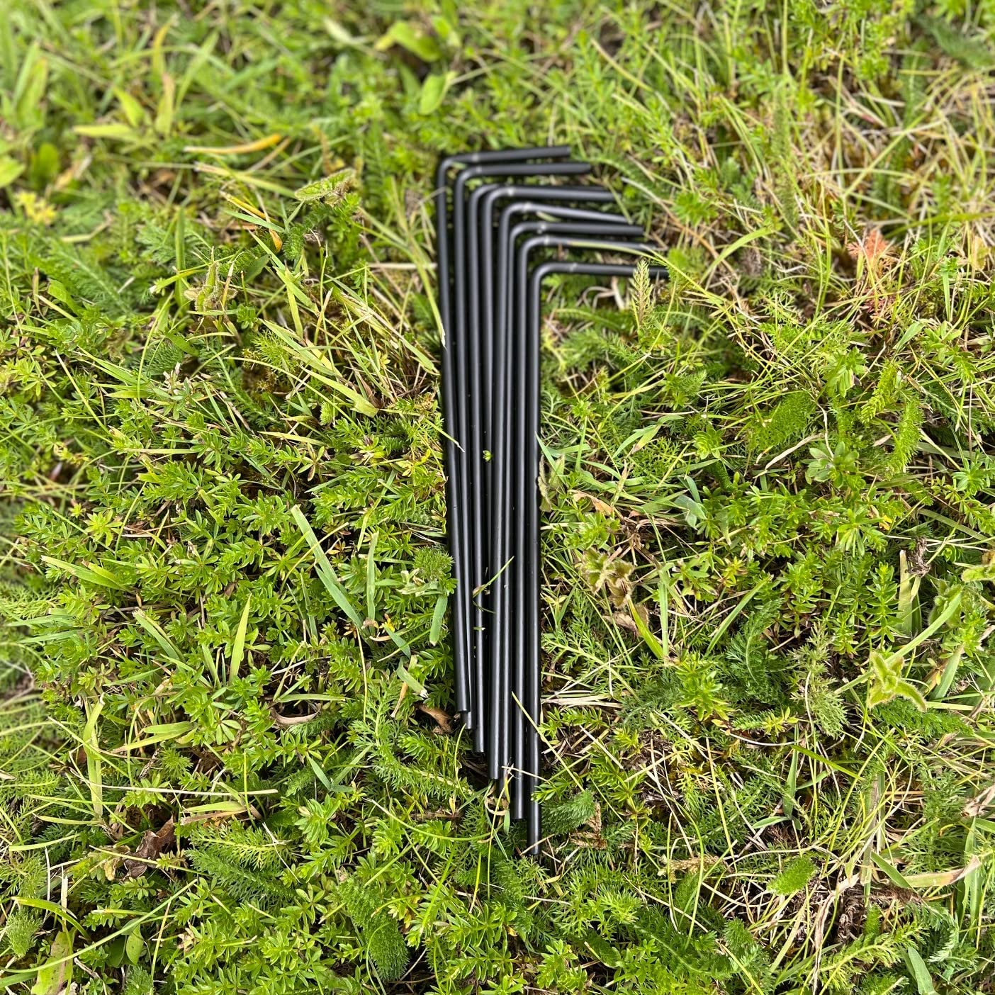 Selections Metal Windsor Garden Arch with Gate and Fixing Pegs