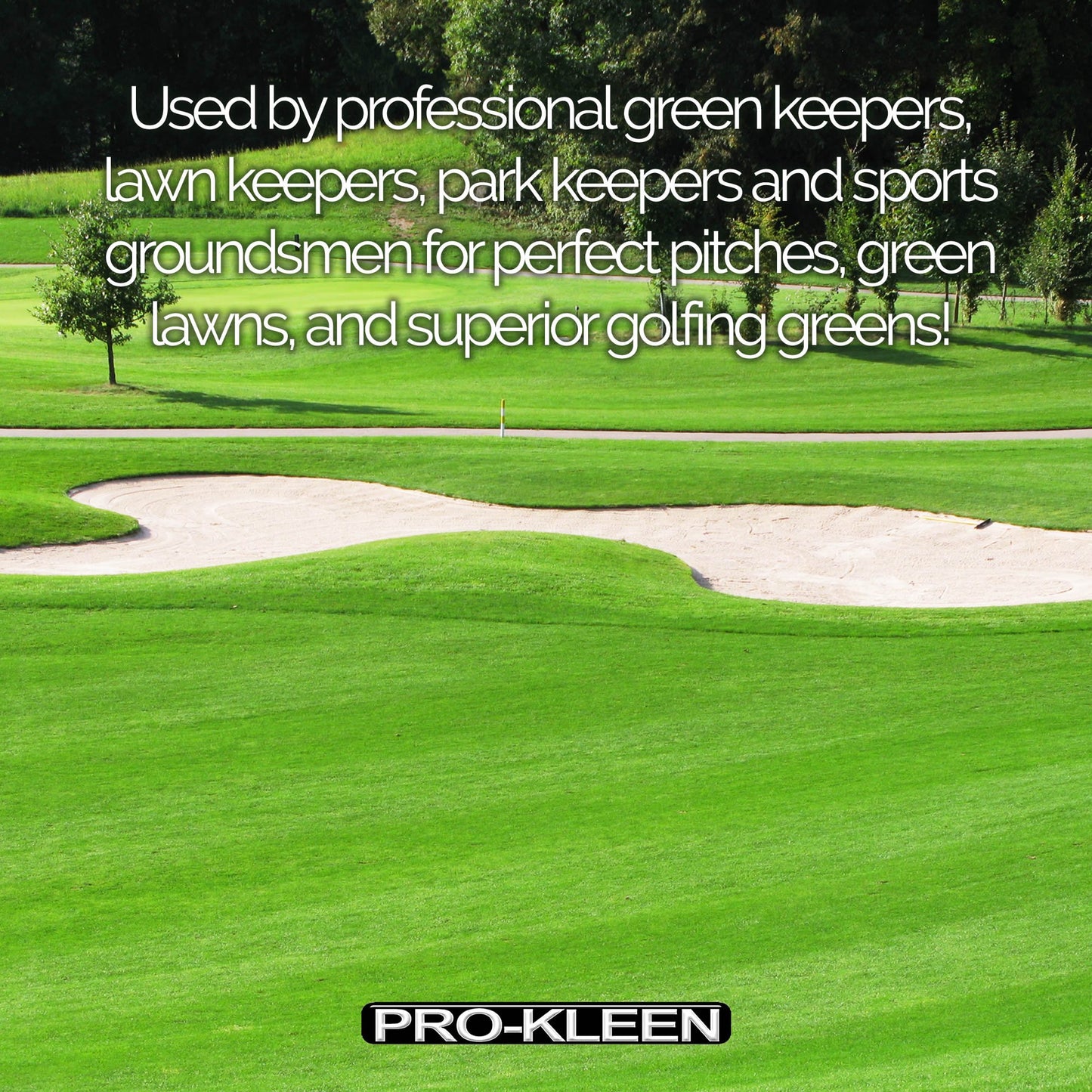 Pro-Kleen 2.5 KG PREMIUM Iron Sulphate (Makes up to 2500L When Diluted & Covers up to 2500m2) - Iron Lawn Conditioner and Turf Hardener. Damp Grade Soluble in Water