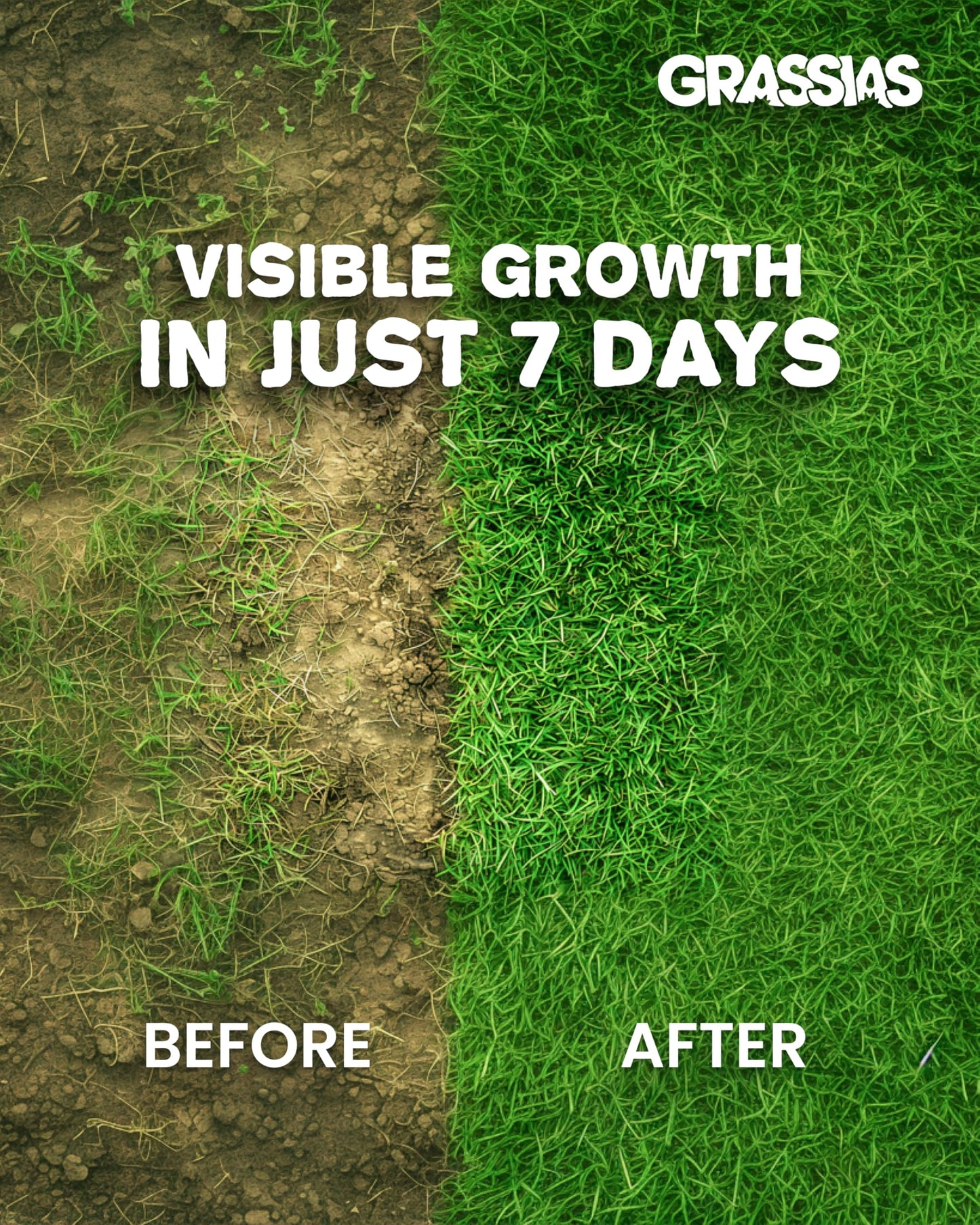 Grassias Fast Growing Grass Seed – 1.70KG Premium Quality Lawn Seed for Overseeding & New Lawns – Hard Wearing & Pet Friendly - Perfect for UK Lawns - Winter & Defra Approved