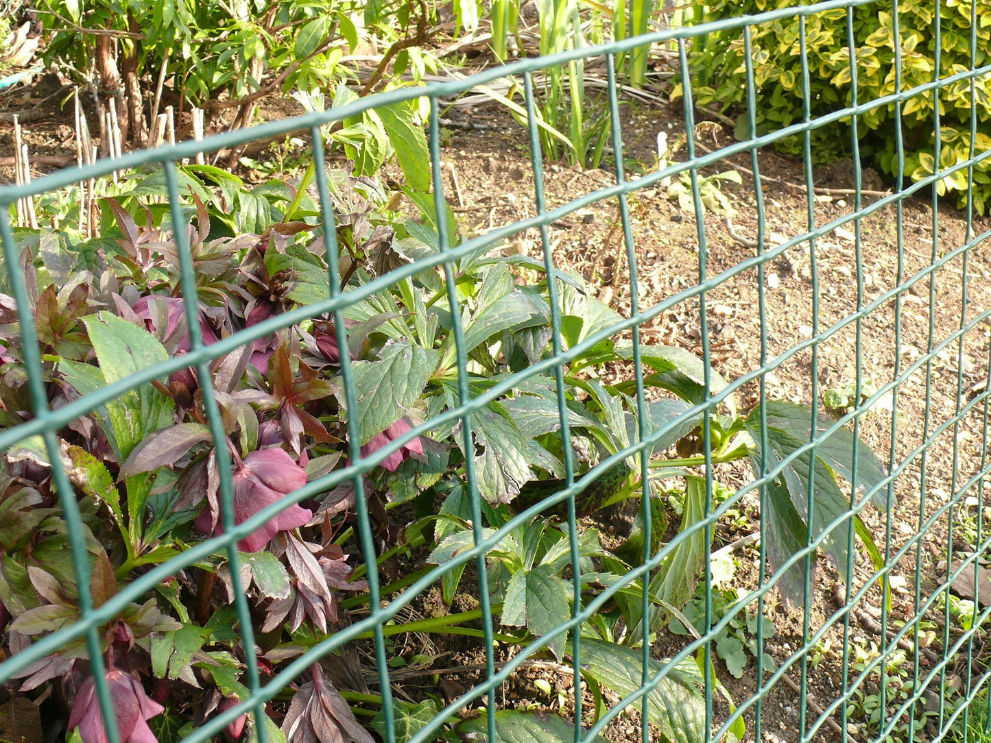 Suregreen Plastic Mesh Fencing | 1m x 5m | 50mm Holes | Green | Plastic Garden Fencing Mesh, Netting For Garden Fences, Plant Support, Tree Guards, Mesh For Climbing Plants, Vegetables, Pets