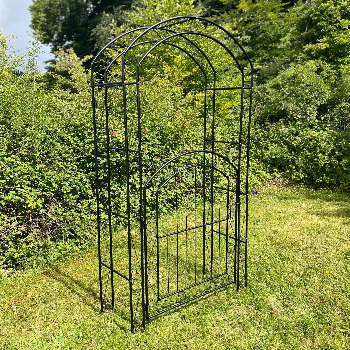 Selections Metal Windsor Garden Arch with Gate and Fixing Pegs