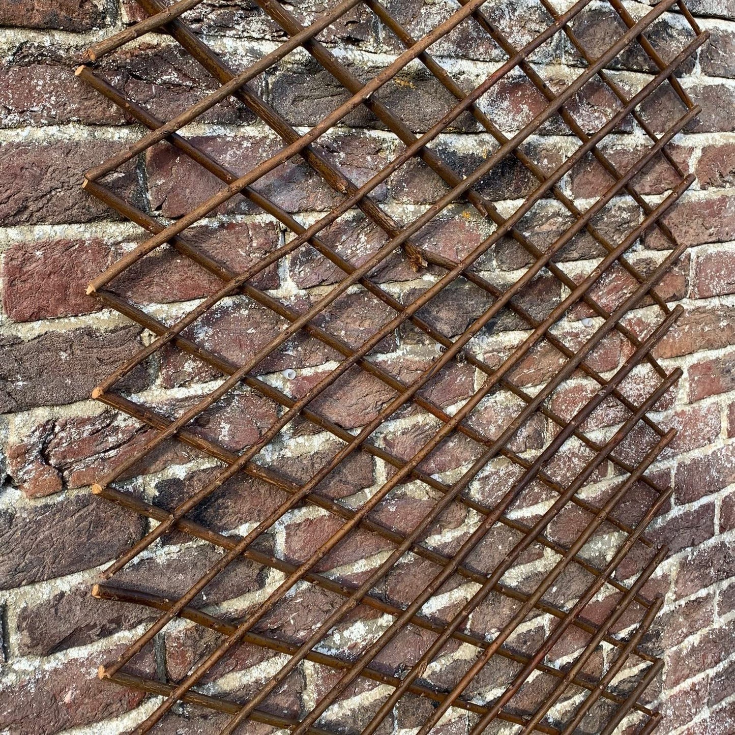 Selections Pack of 2 Expanding Willow Fan Garden Wall Trellis (180 x 60 Centimeter)