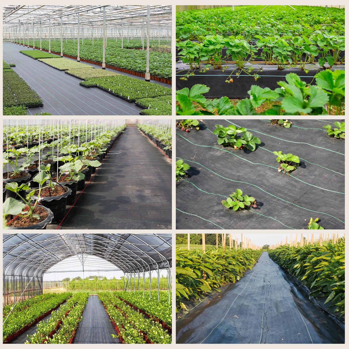 OUNUO 4 m x 10 m Heavy Duty Weed Control Membrane Garden Weed Barrier UV Protection Weed Fabric for Patios Garden Flower Beds Landscaping Black Woven Roll Ground Cover